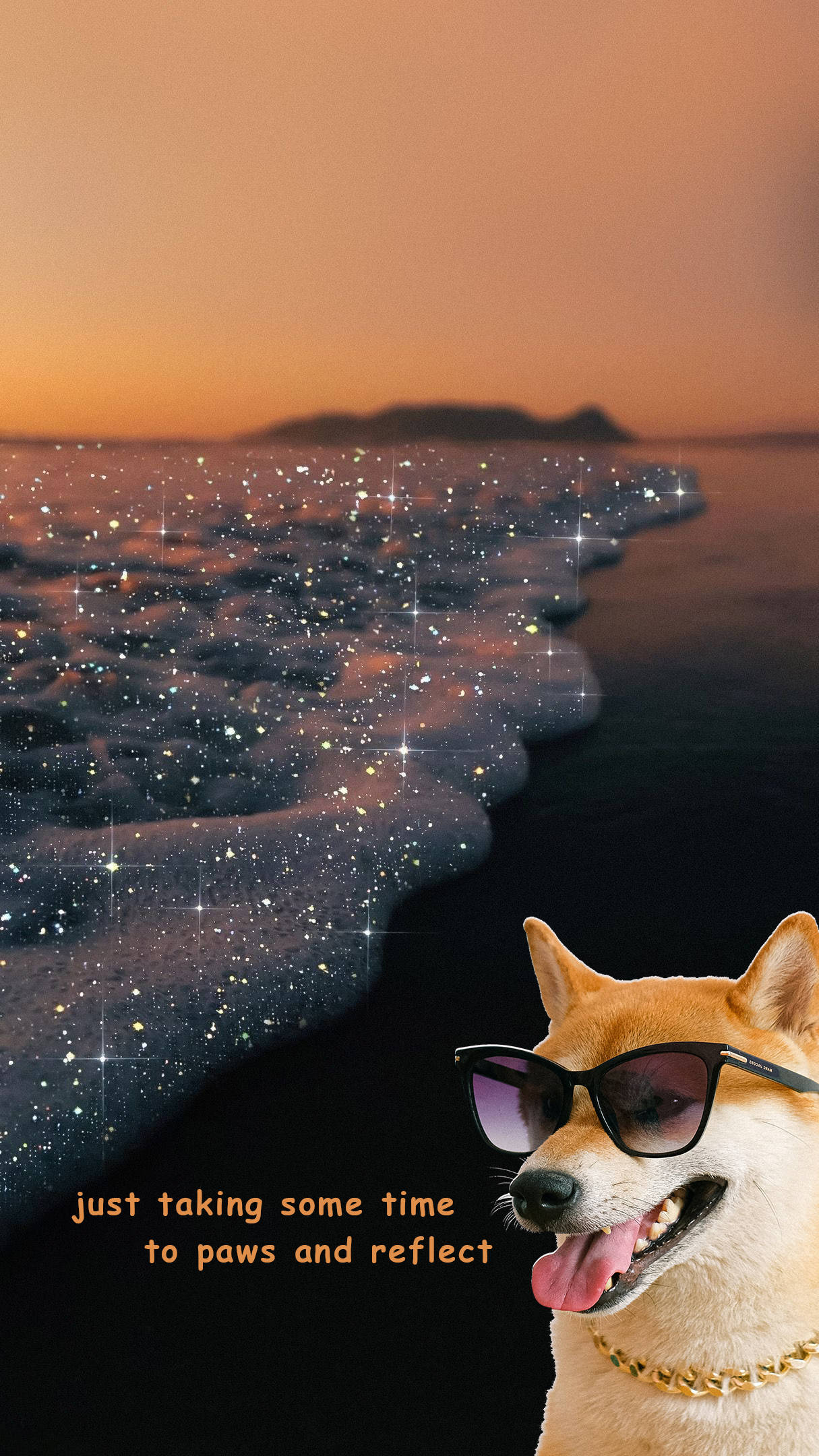 Hund på stranden sjov æstetik Wallpapers