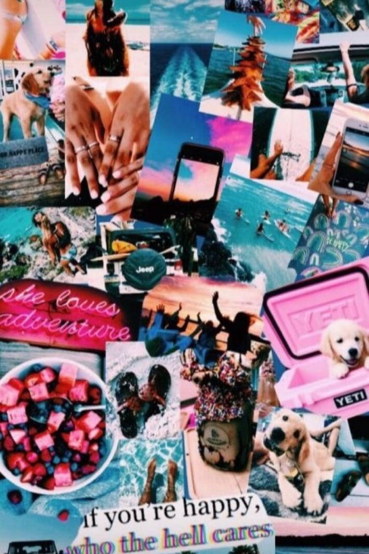 Hundeejer æstetisk collage Wallpapers