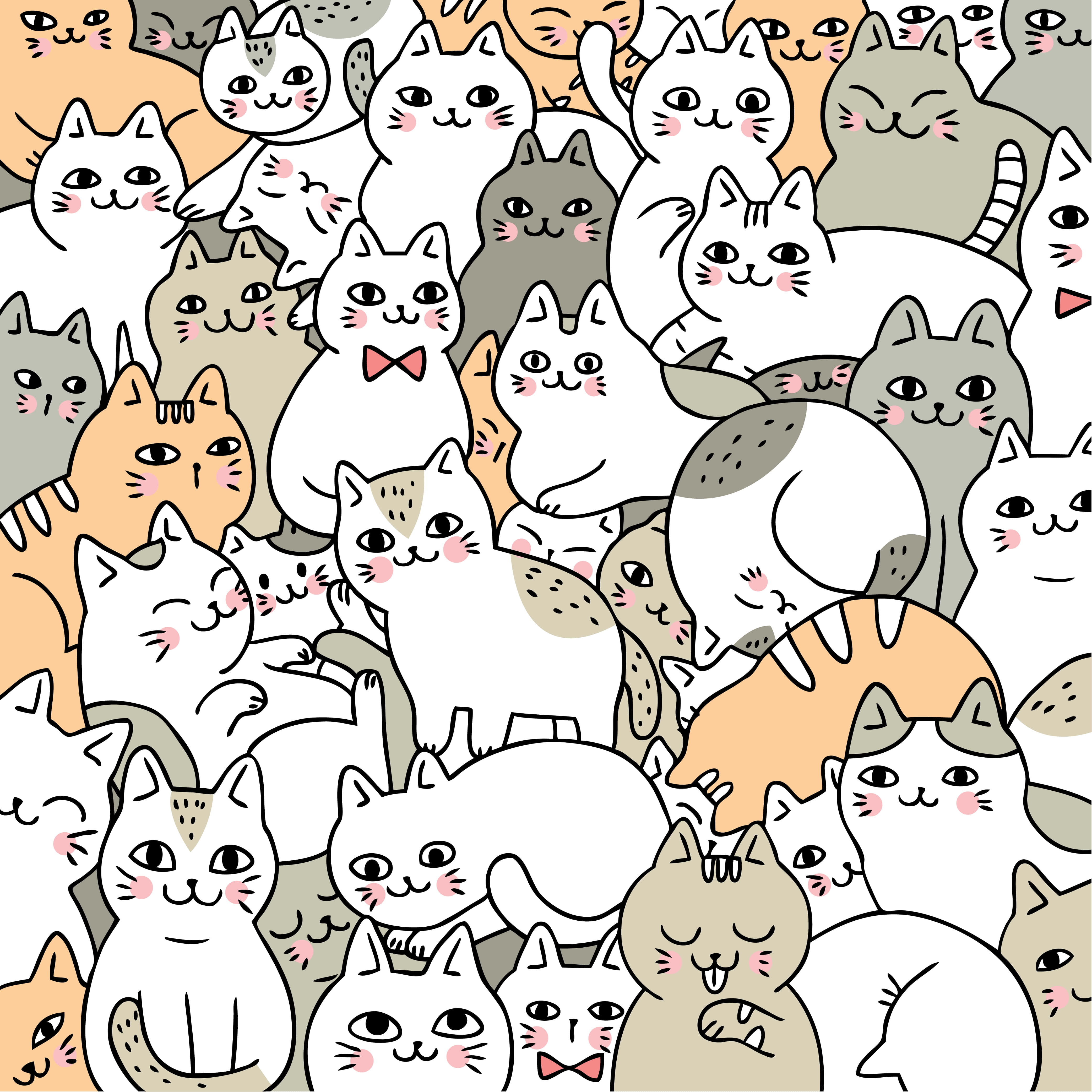 Hvem kan modstå en sød kat? Wallpapers