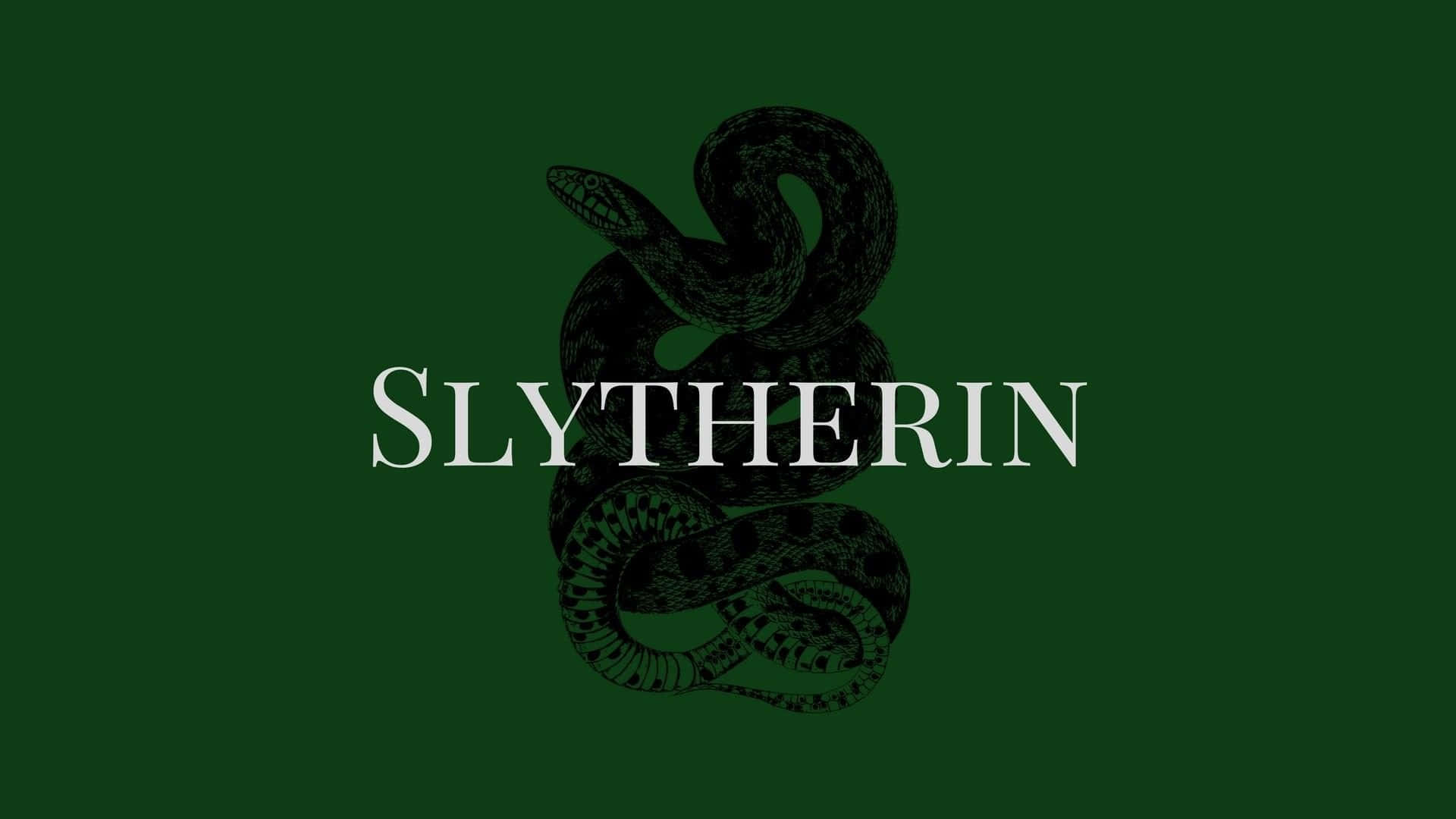 Hvem vinder den episke kamp mellem Gryffindor og Slytherin? Wallpapers