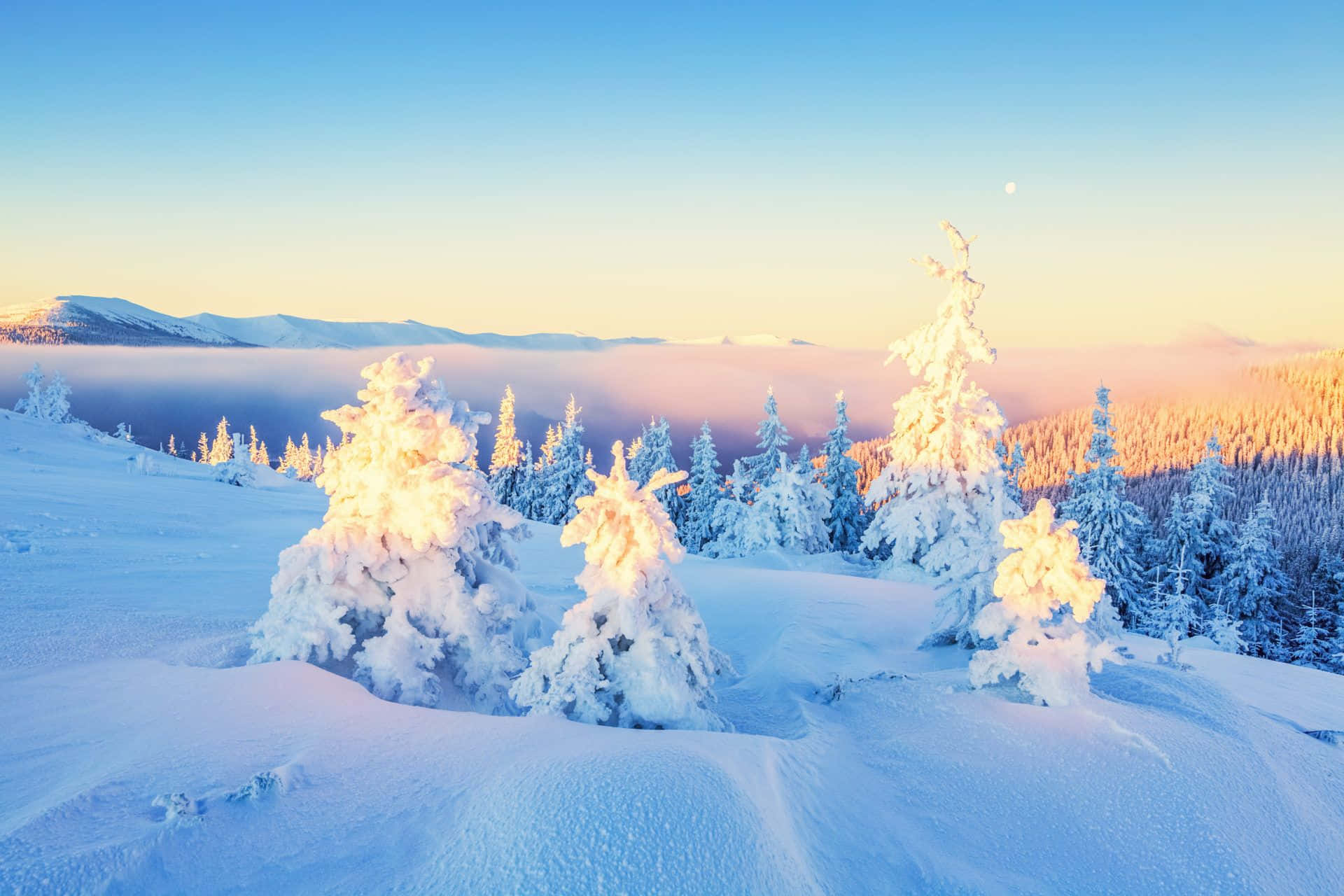 Hvid bjerg vinterlandskab baggrund Wallpapers