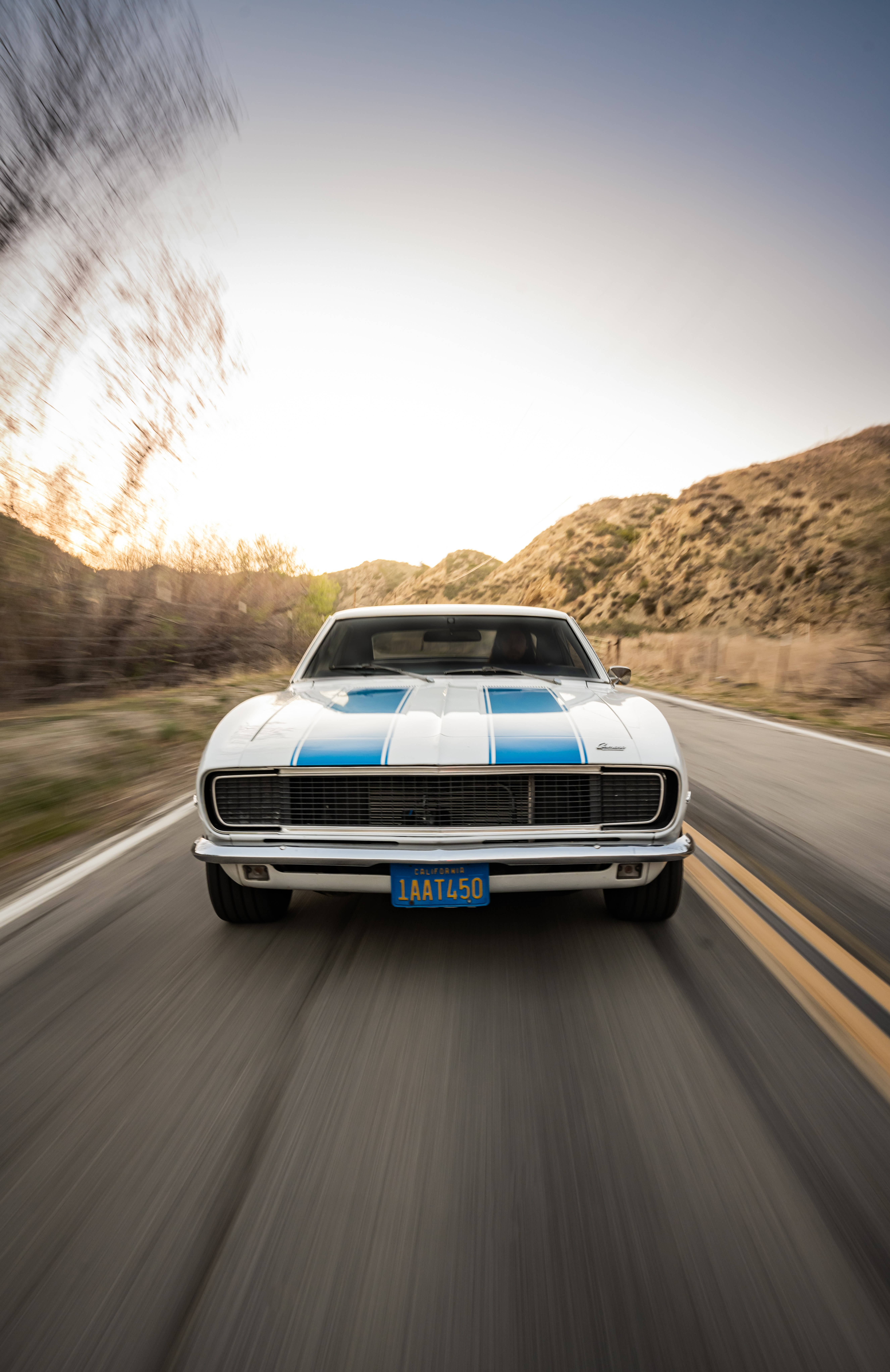 Hvid Chevrolet Chevelle Wallpapers