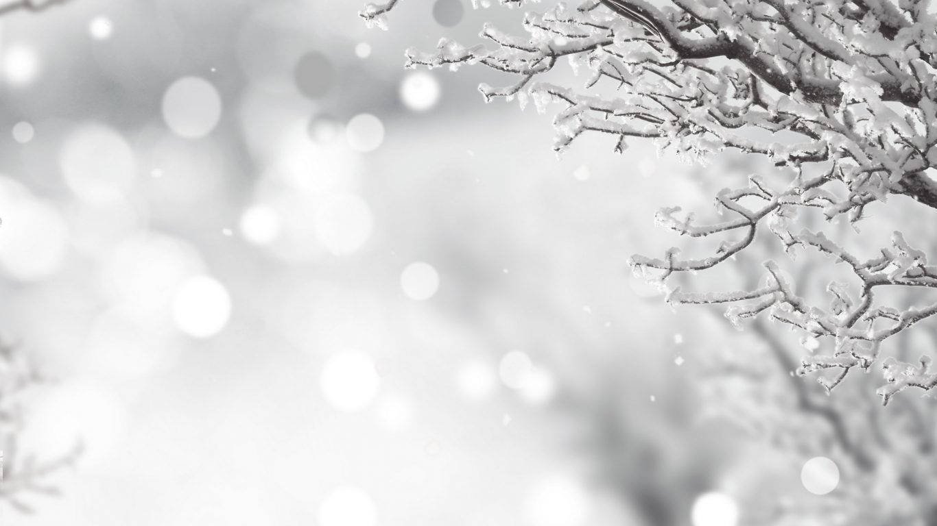 Hvid jul i vinter baggrund — Natur Wallpapers