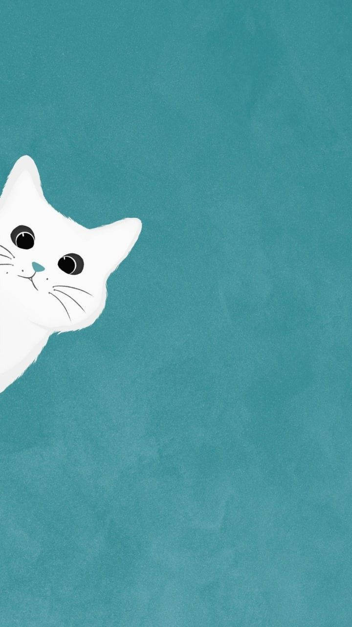 Hvid kat kigger frem enkel æstetik Wallpapers