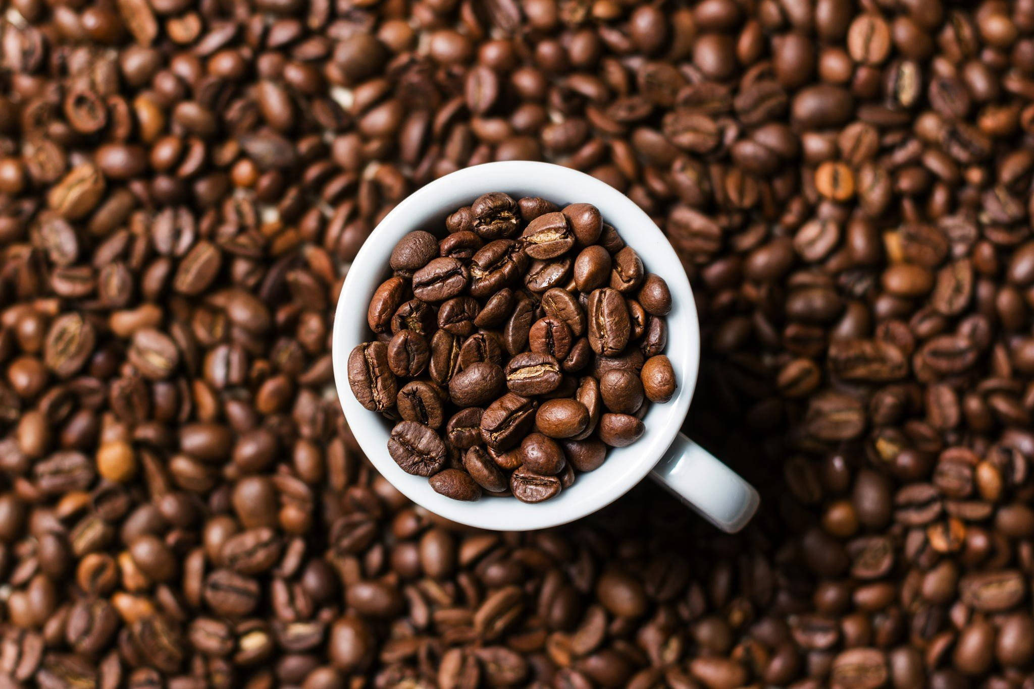 Hvid kop fyldt med kaffebønner Wallpapers
