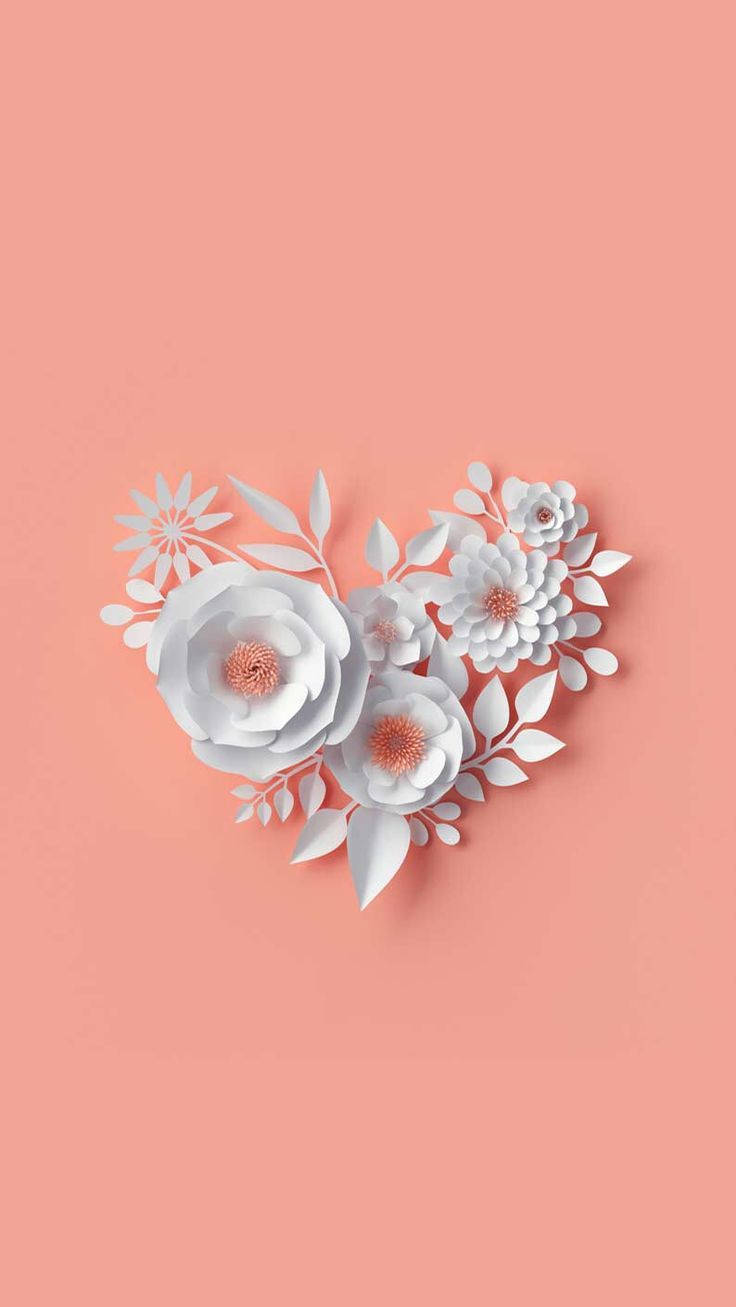 Hvid kunstig blomst Floral iPhone Wallpapers