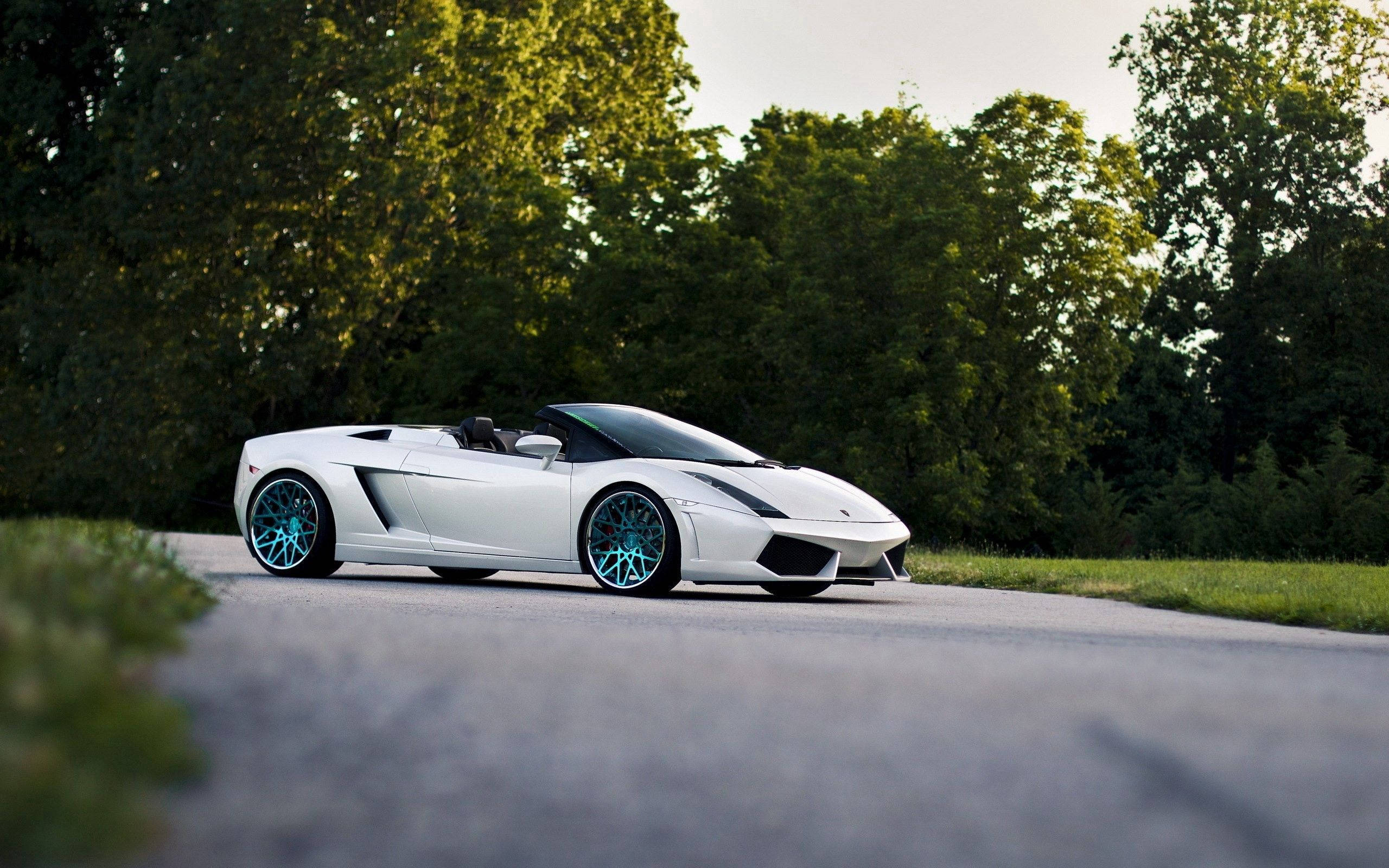 Hvid Lamborghini Gallardo Spyder med kaleche nede Wallpapers