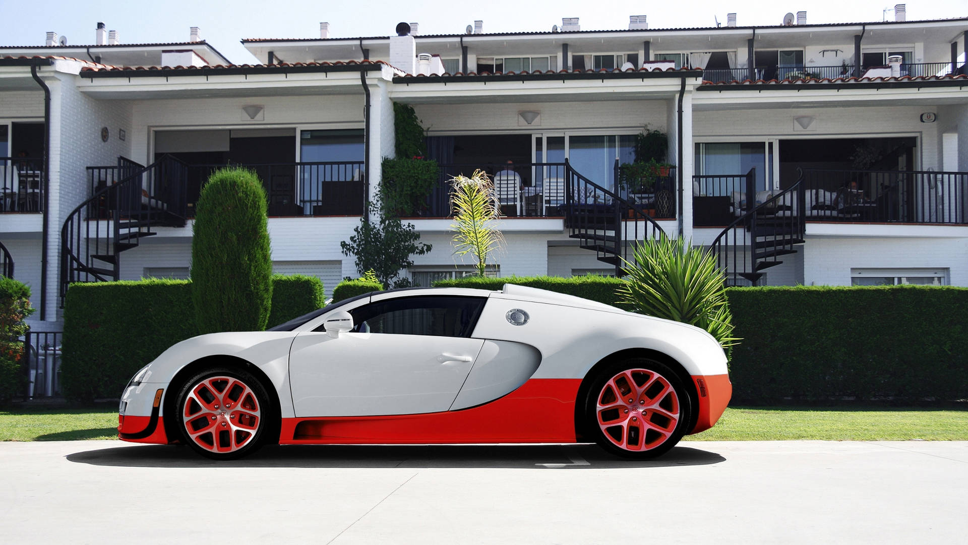 Hvid orange Bugatti Veyron wallpaper — Bugatti Wallpapers