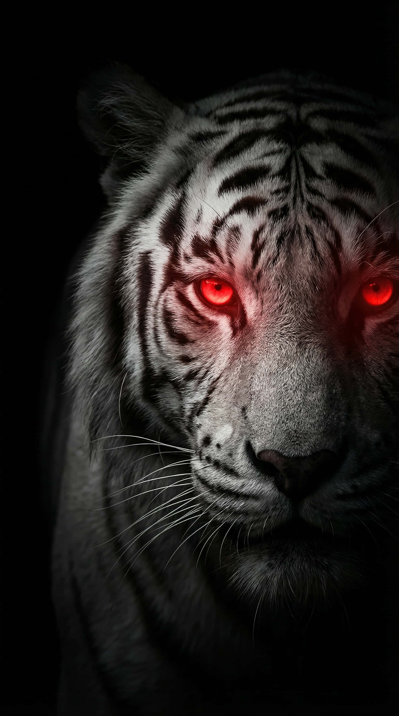 Hvid tiger med røde øjne 4K Wallpaper Wallpapers