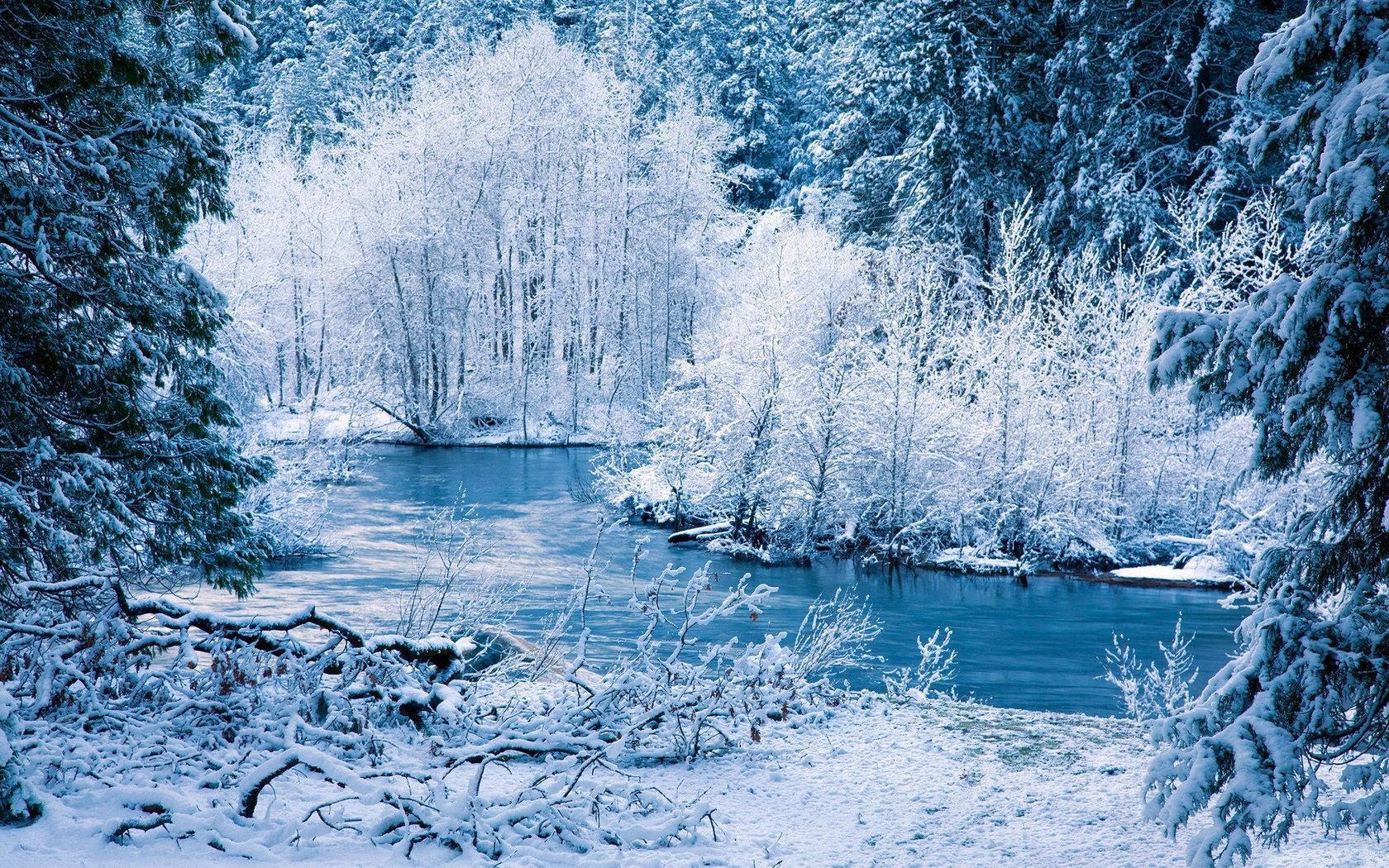 Hvid vinter ved floden Wallpapers