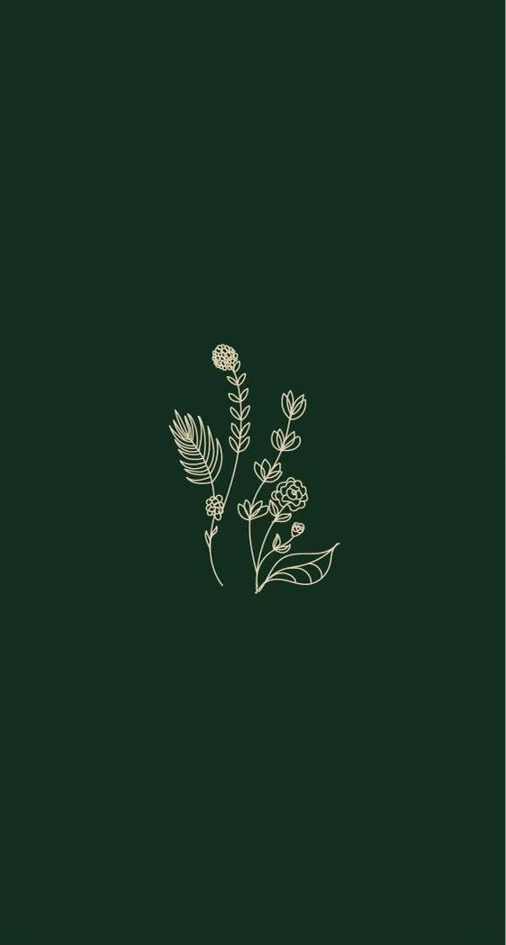 Hvide blomstrende planter enkel æstetik Wallpapers