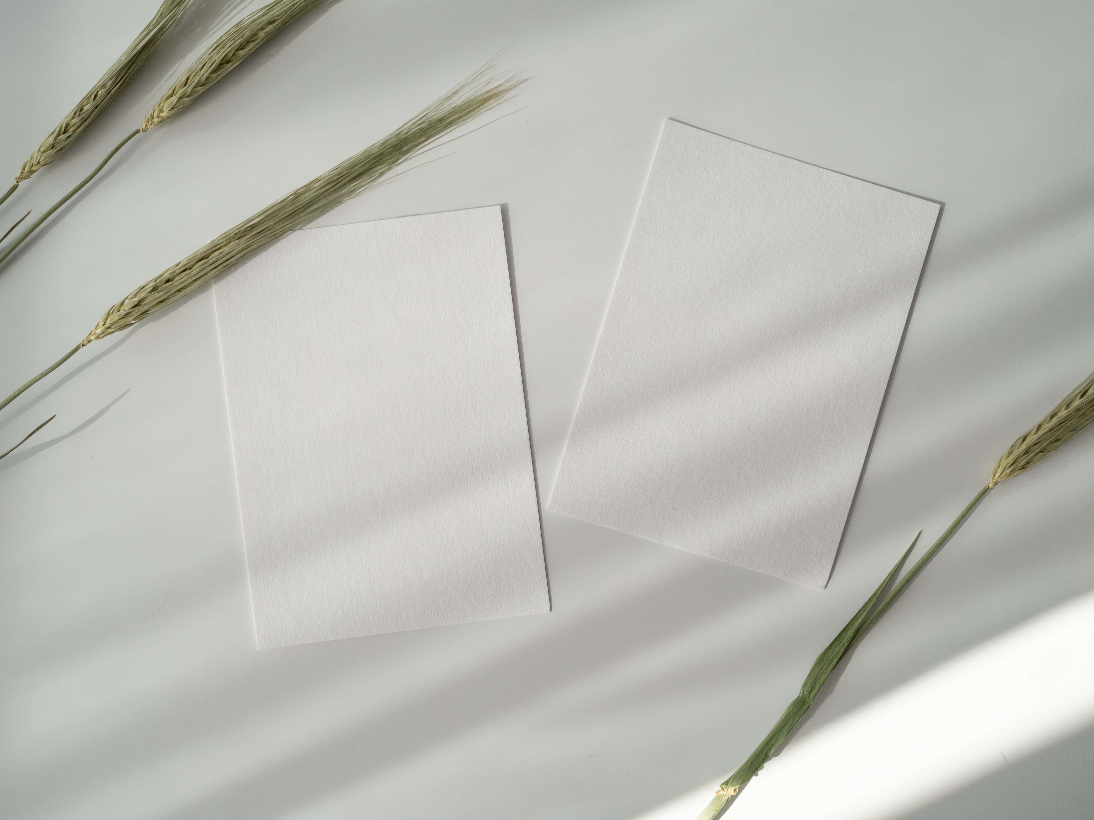 Hvide printpapirer under skyggebaggrund Wallpapers
