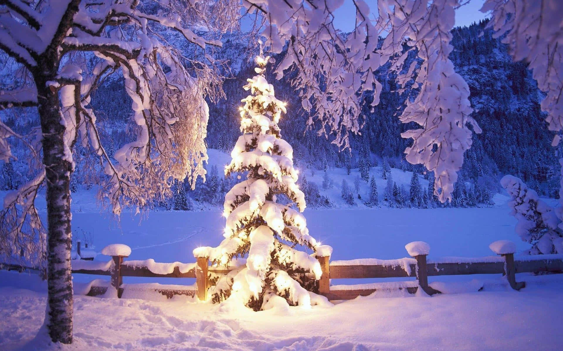 Hvidt juletræ med snebaggrund idé Wallpapers