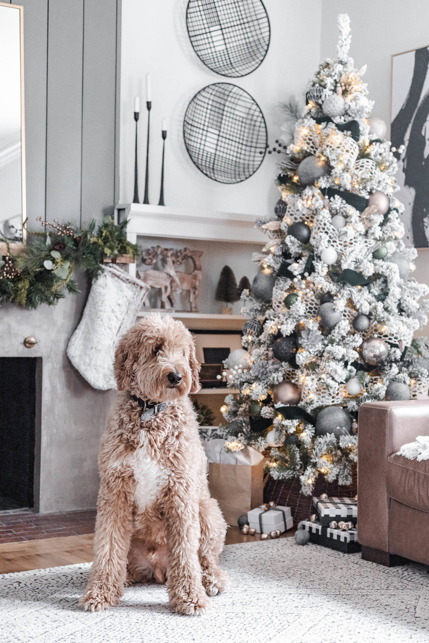 Hygge julestemning sød hund Wallpapers
