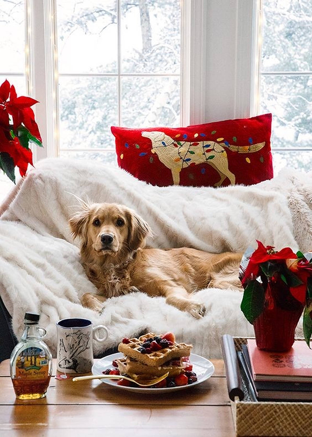 Hygge julestemning med hund på sofa Wallpapers