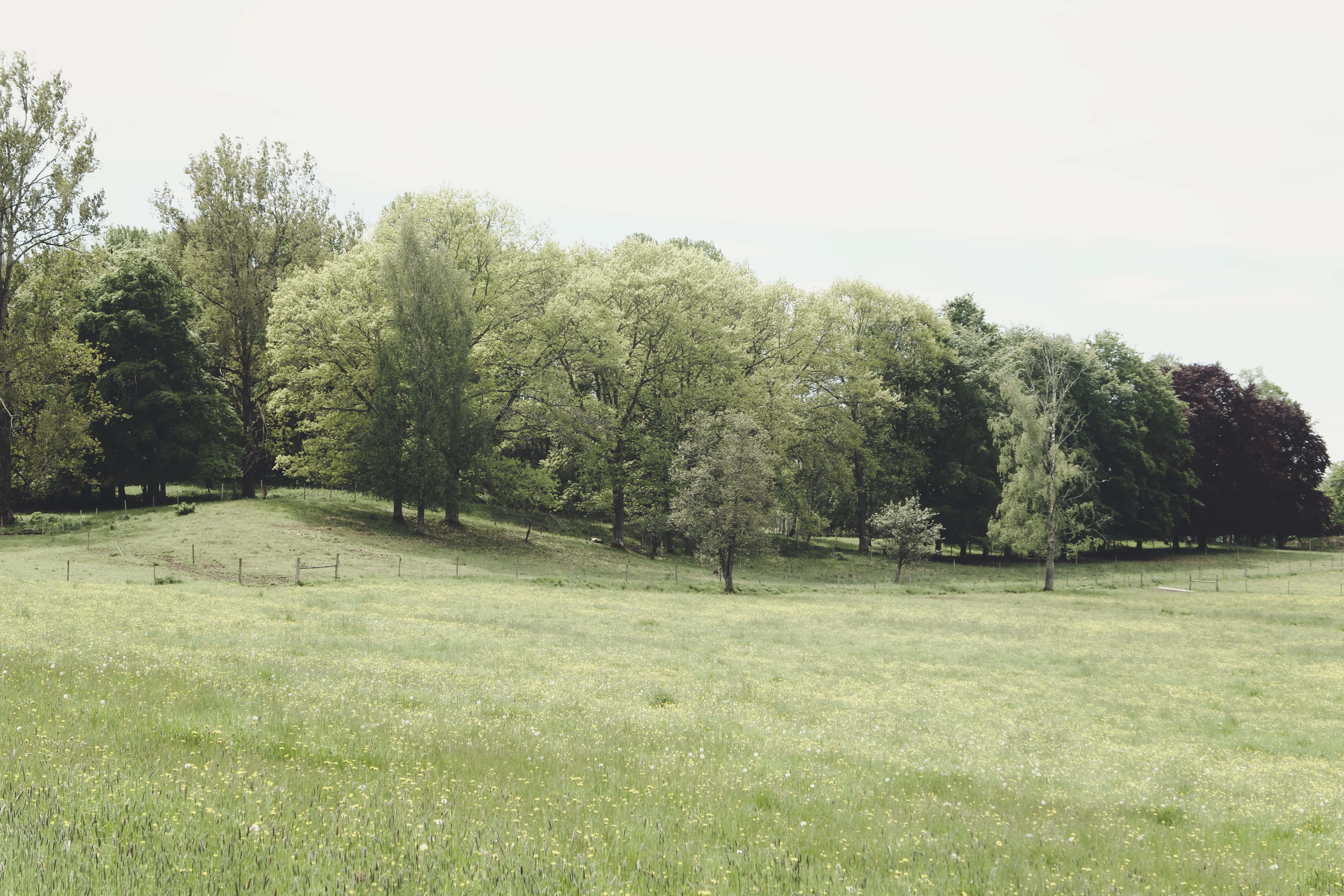 Hyggeligt landsted omgivet af natur Wallpapers