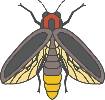 Ildflue_ Illustration_ Vektor Wallpapers