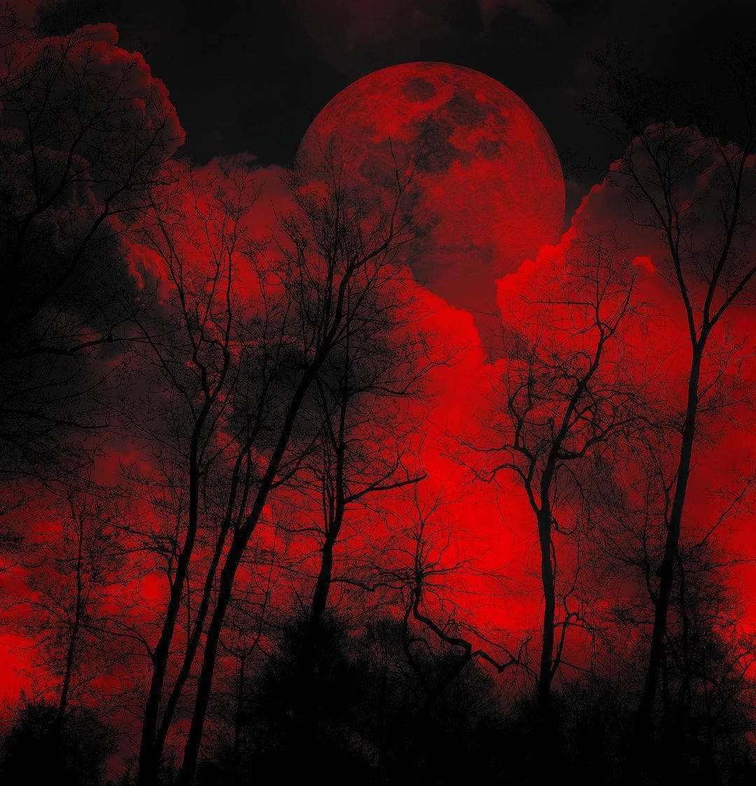 Illevarslende træer med rød himmel Wallpapers