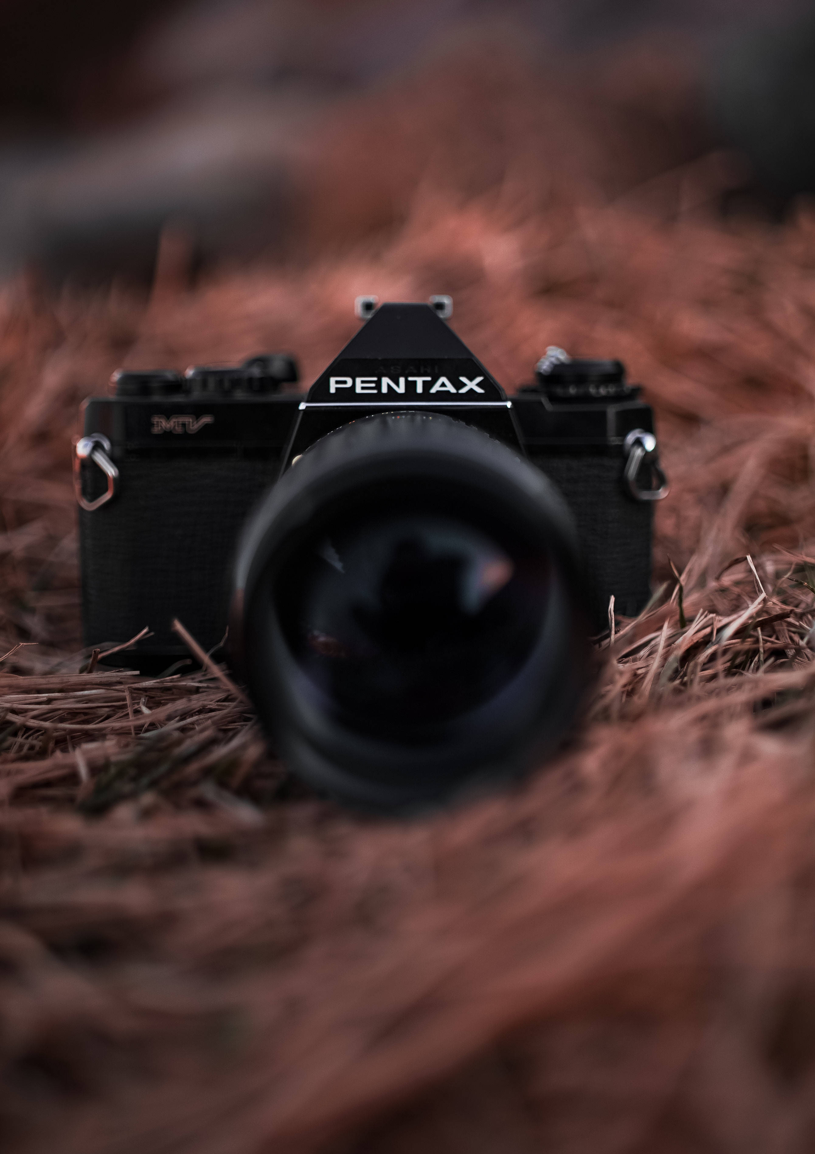 Fang livets skønhed med et Pentax-kamera Wallpapers