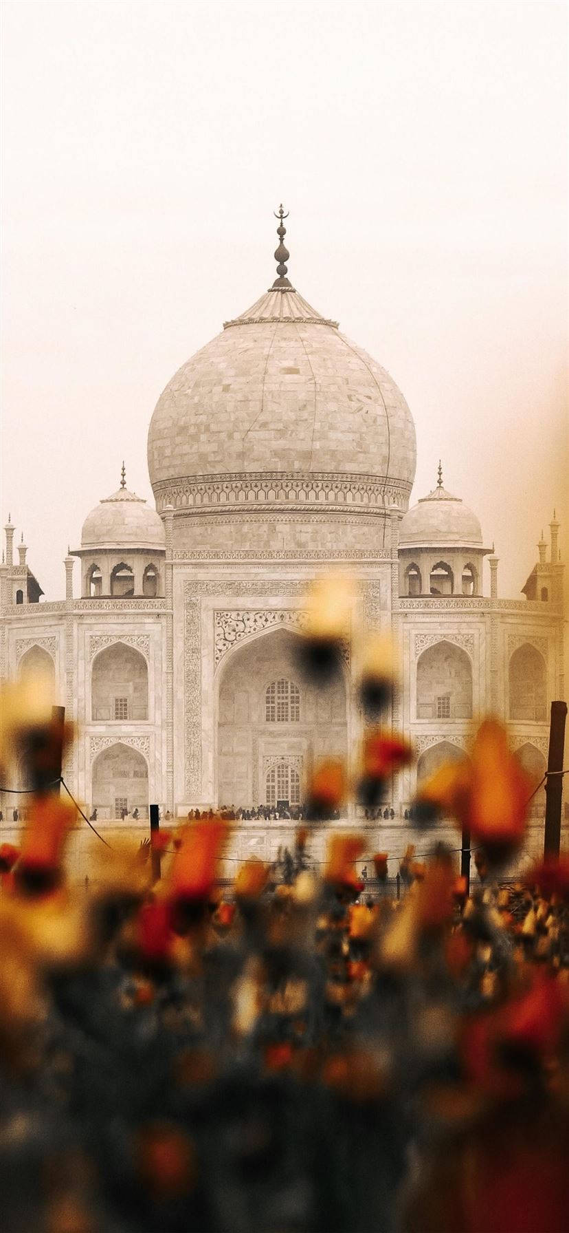 Indisk æstetik Taj Mahal Blomster Wallpapers
