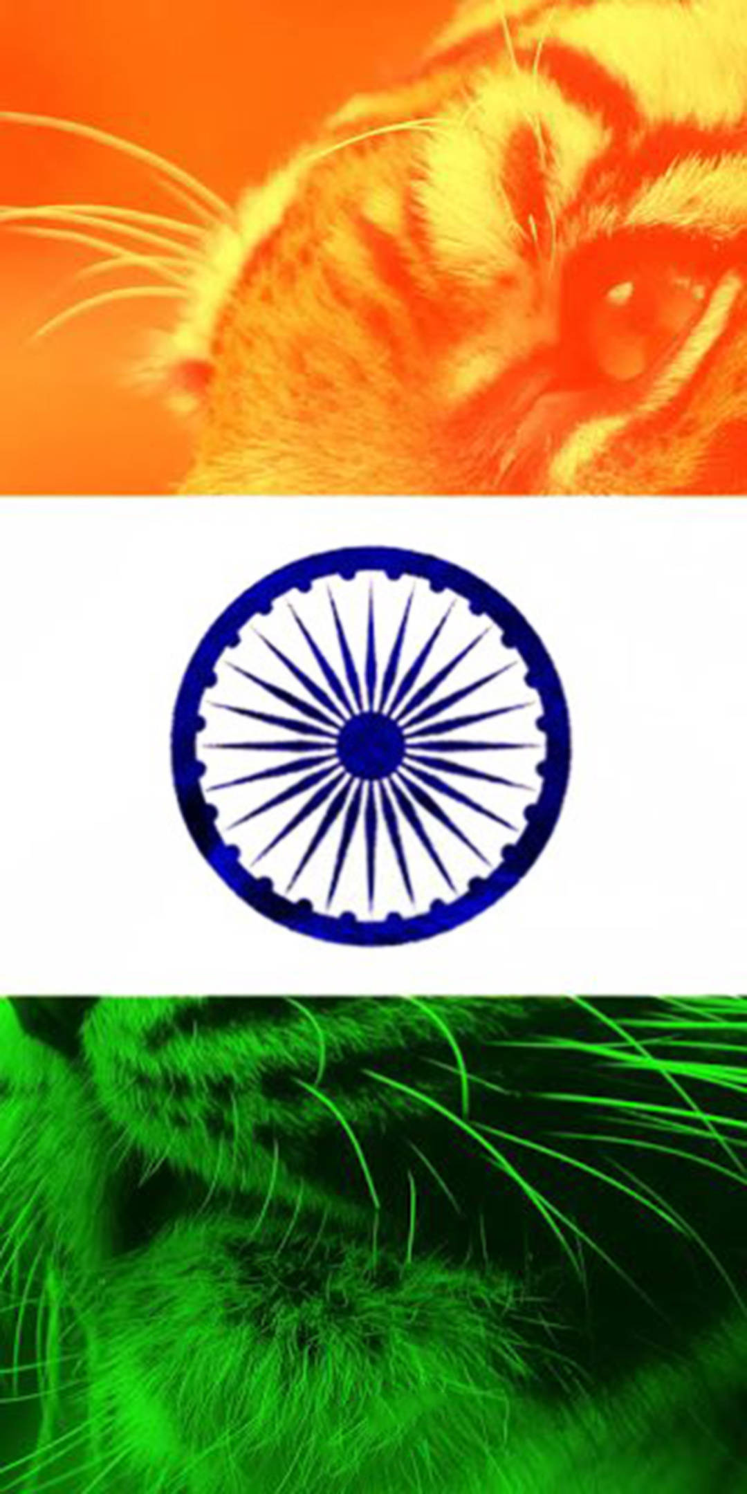 Indisk flag mobil med tiger Wallpapers