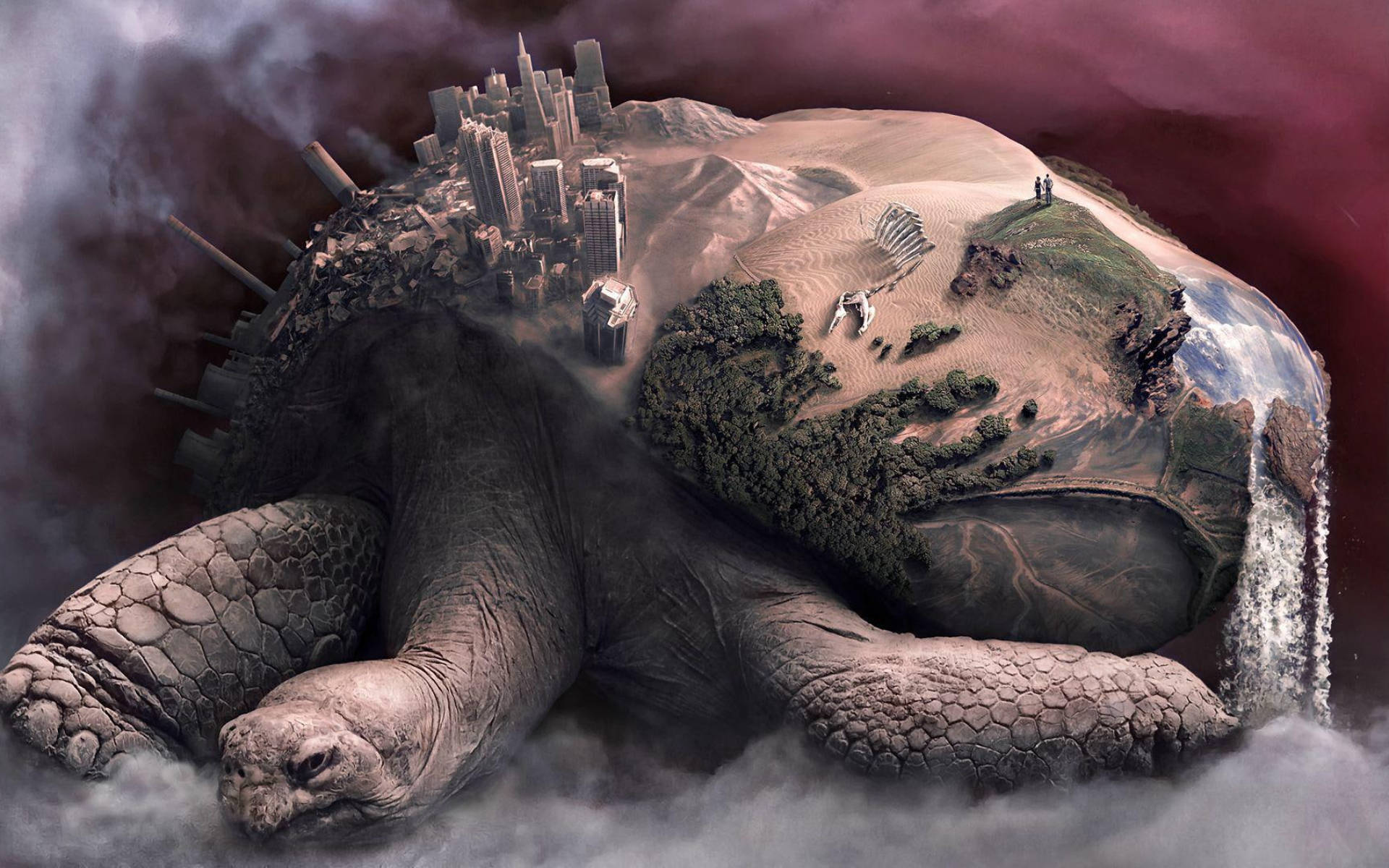 Inspirerende eventyr under bølgerne med Cool Turtle Wallpapers