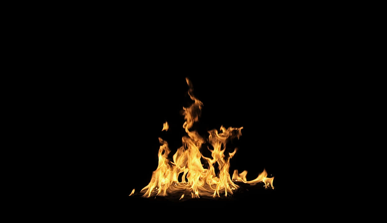 Intense flammer på sort baggrund Wallpapers