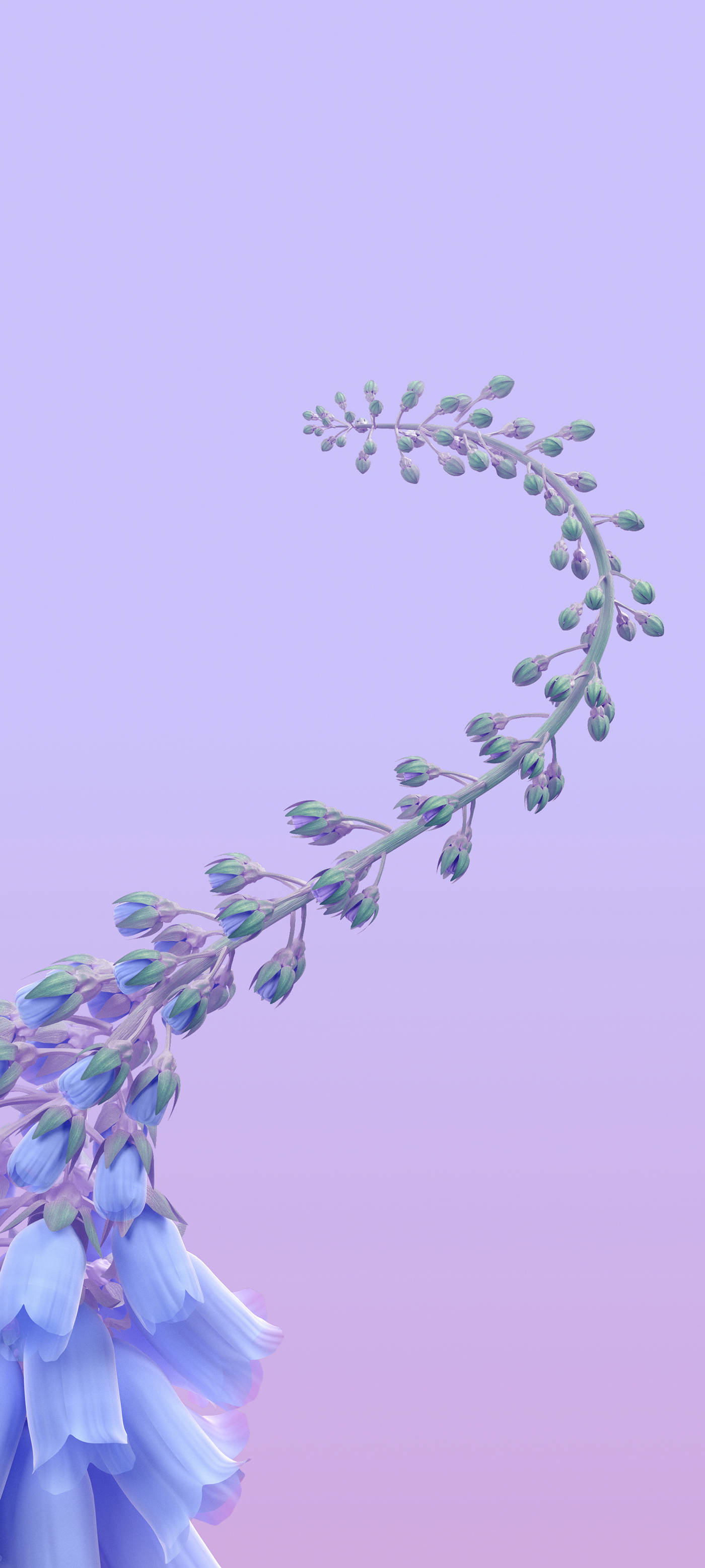 Interaktiv klokkeblomstranke Wallpapers