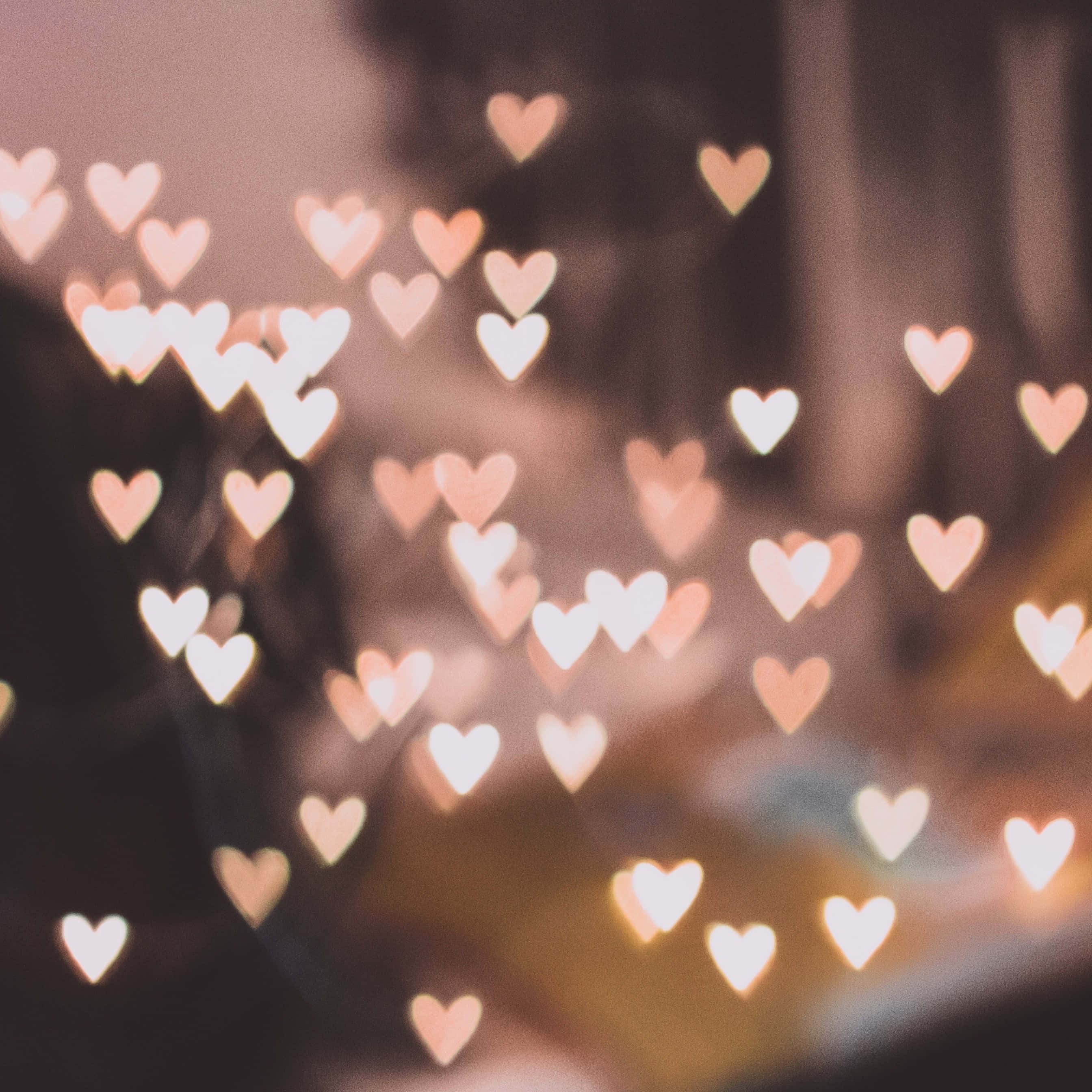 Intet er sødere end en overraskelse til Valentinsdag! Wallpapers
