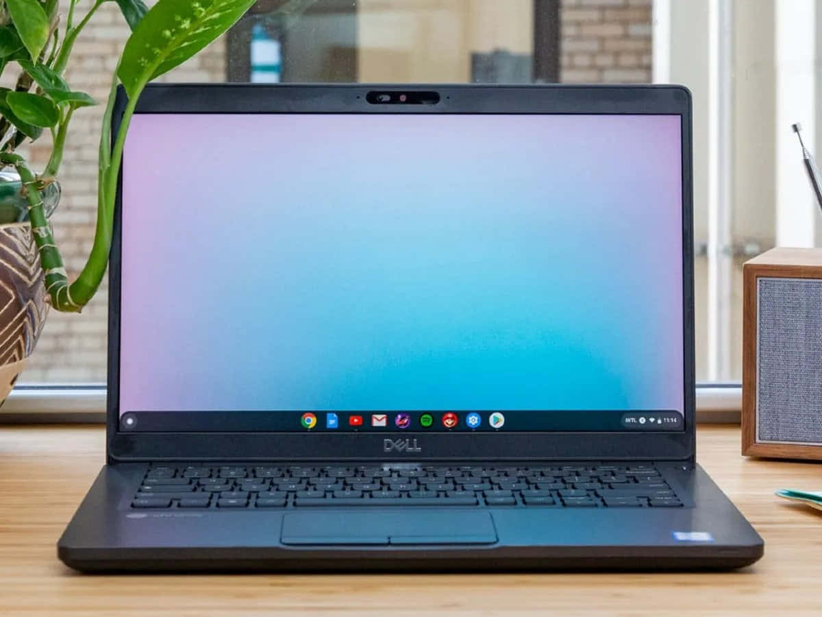 Introduktion af Chromebook: En overkommelig og raffineret bærbar computer Wallpapers