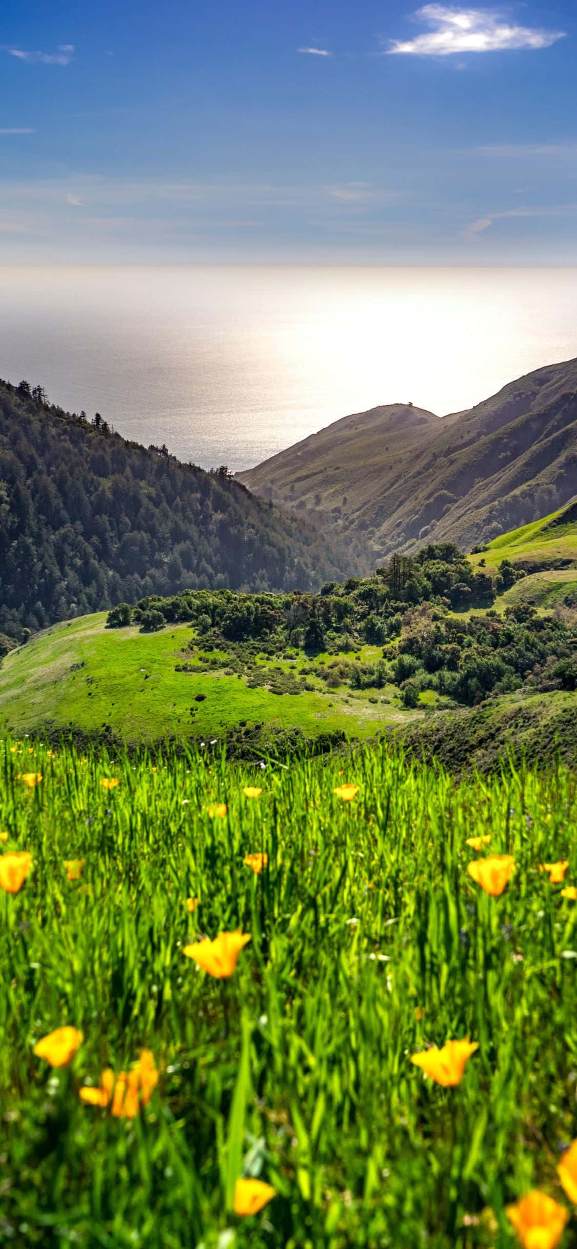Invester i din fremtid med Apple iPhone Xs California Wallpapers