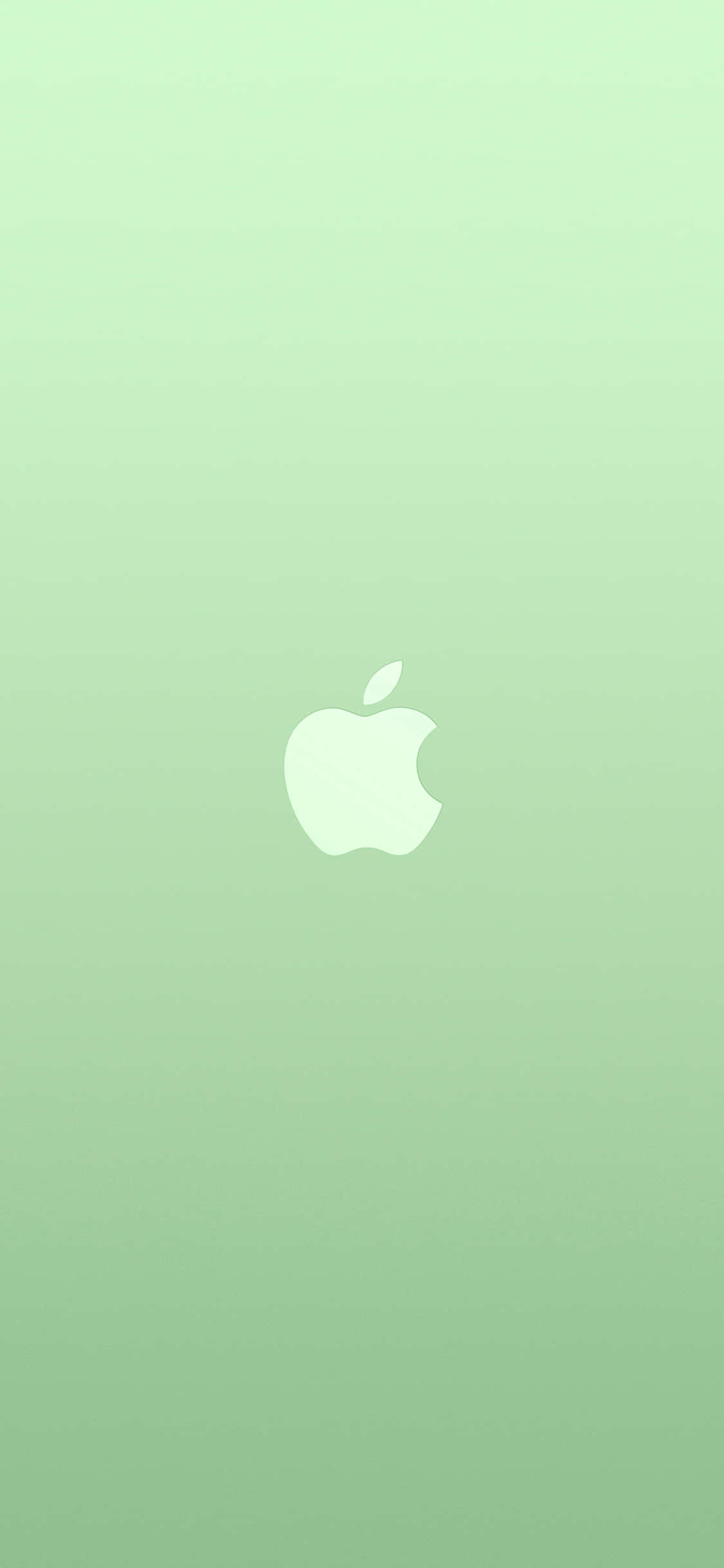 iPhone 11 Apple Logo Grøn Baggrund Wallpapers