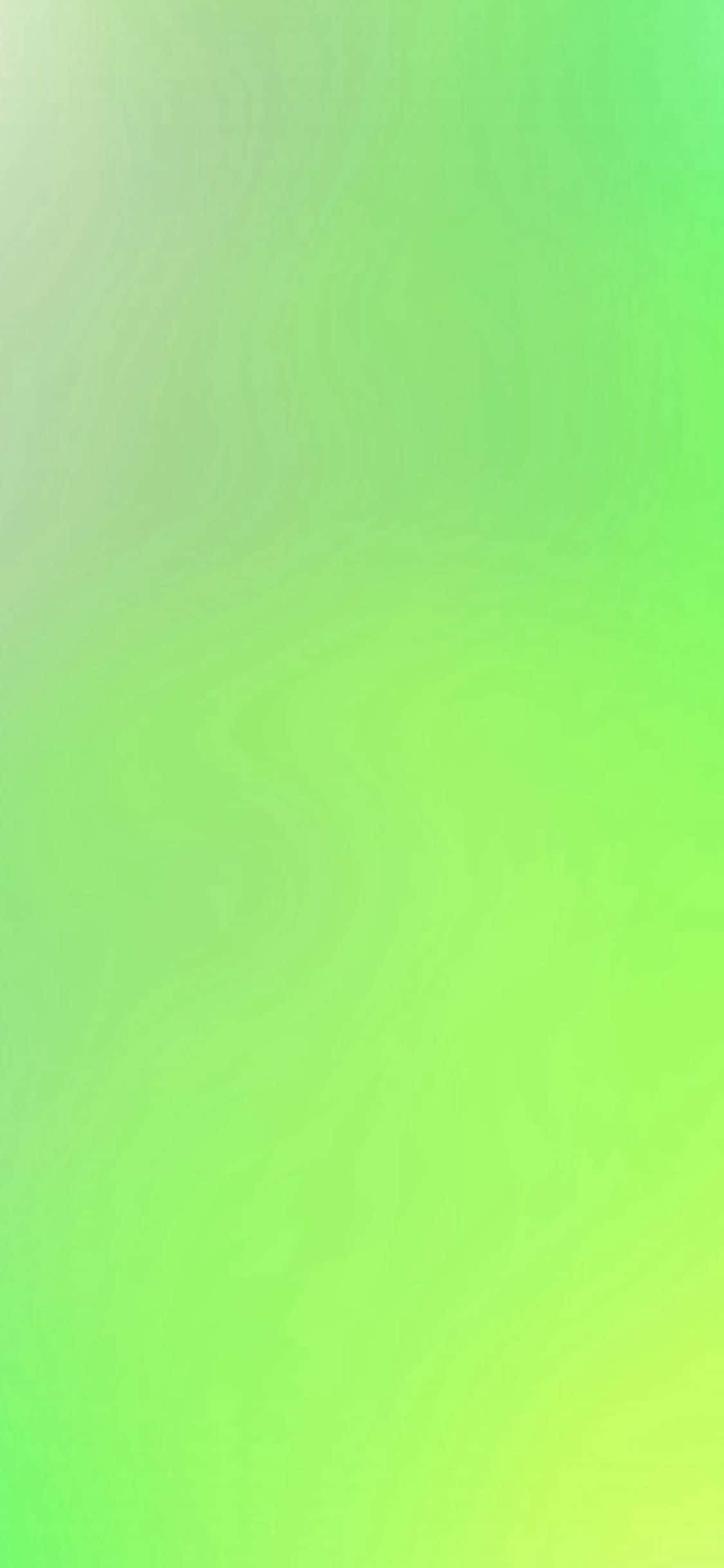 iPhone 11 Forfriskende Grøn Wallpapers