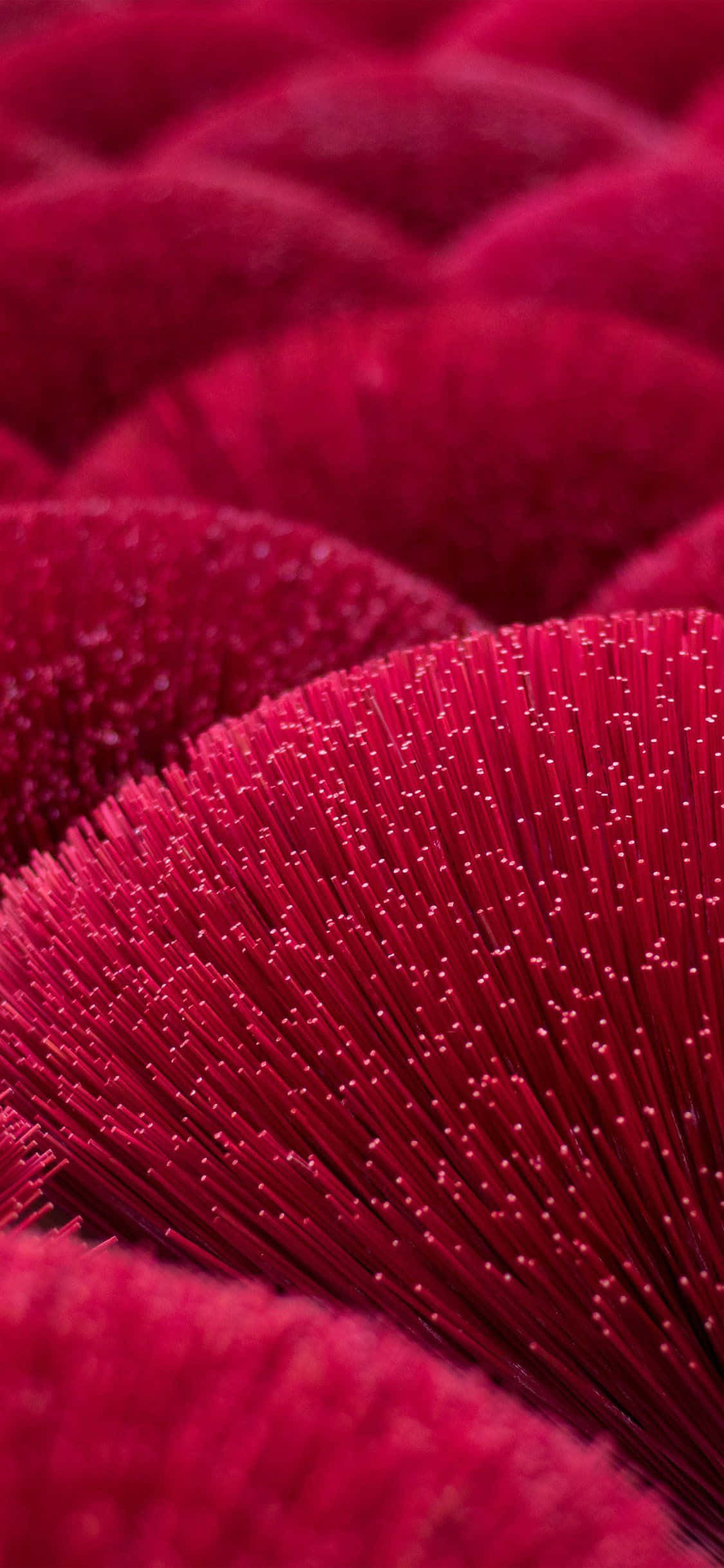 iPhone 11 Røde Røde Nåle Wallpapers