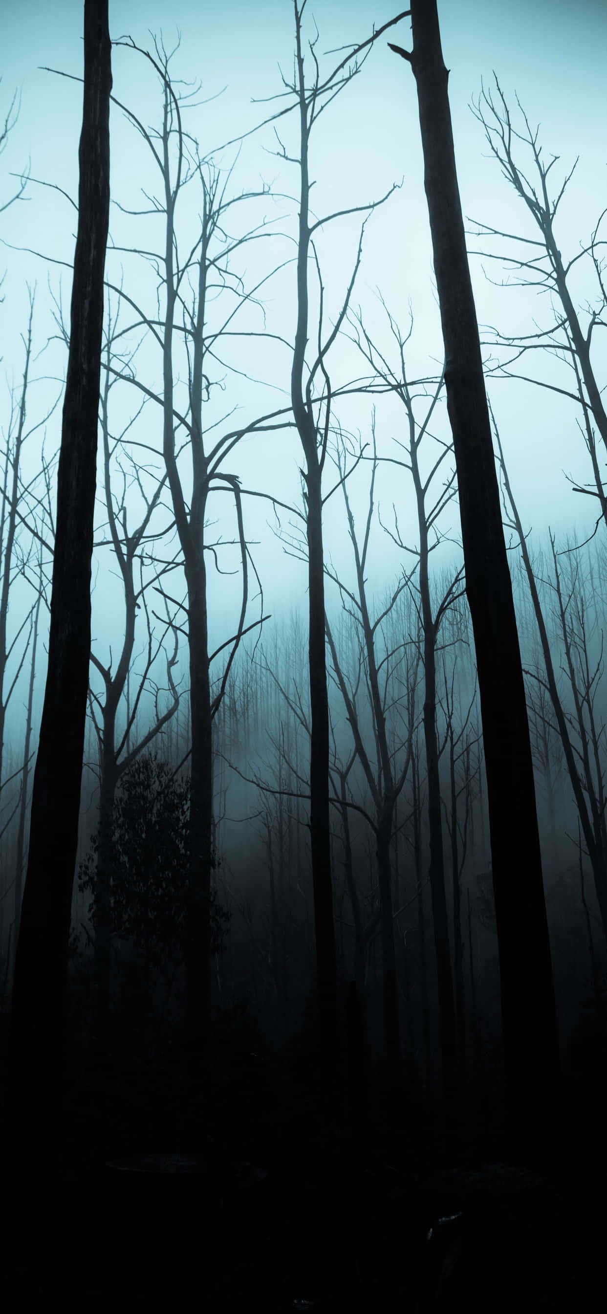 iPhone Halloween baggrund af et uhyggeligt skovområde Wallpapers