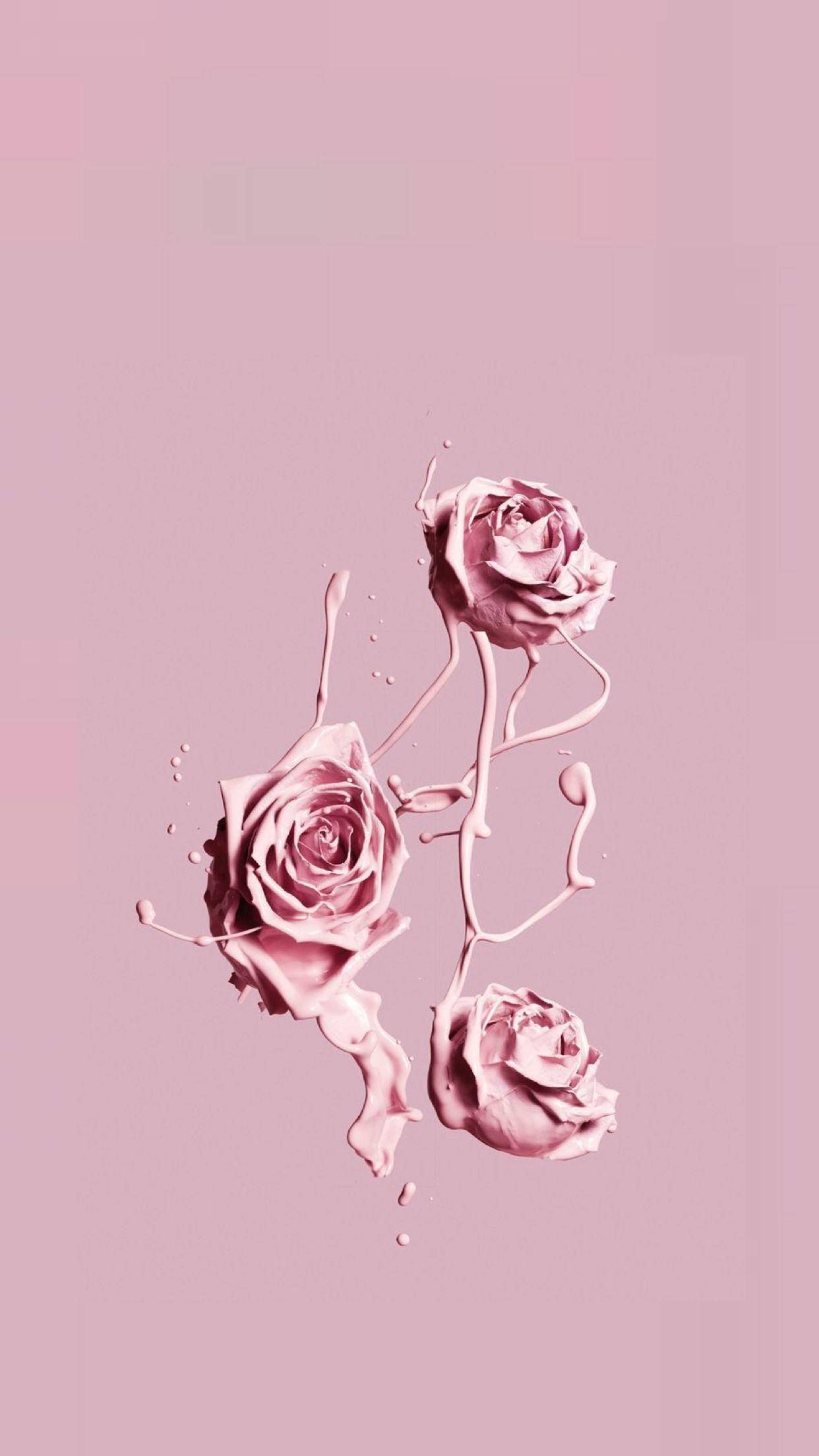 iPhone Pink Æstetisk Rose Maling Wallpapers
