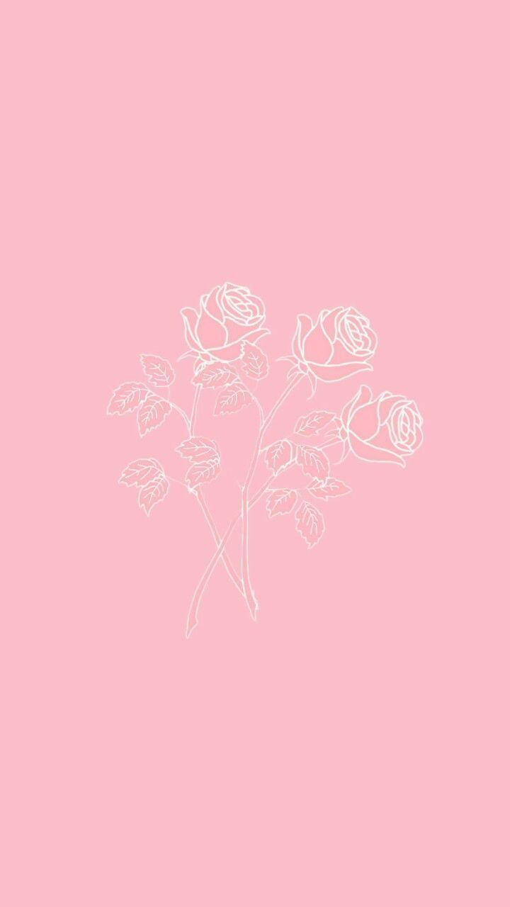 iPhone Pink Æstetiske Roser Wallpapers