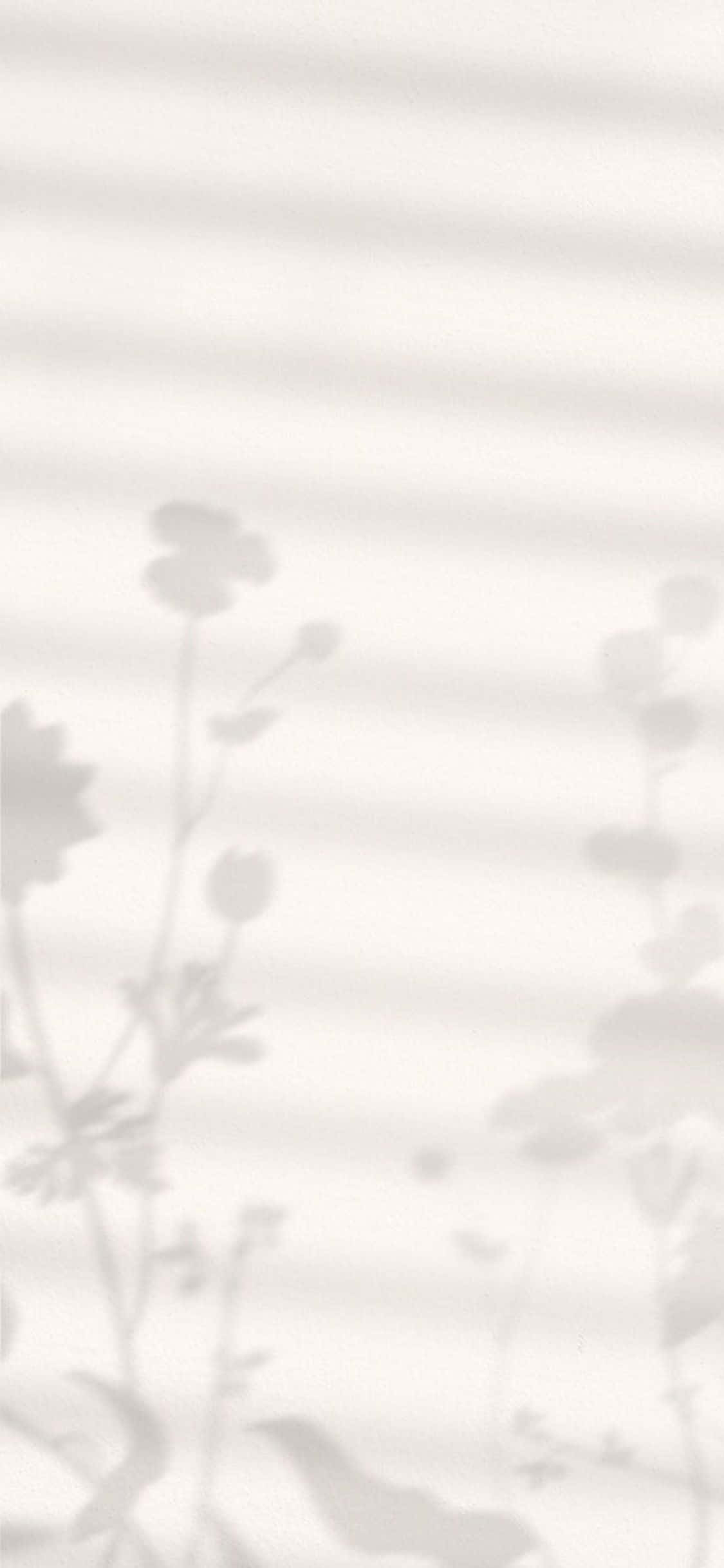 iPhone X minimal baggrund med blomsterskygger Wallpapers