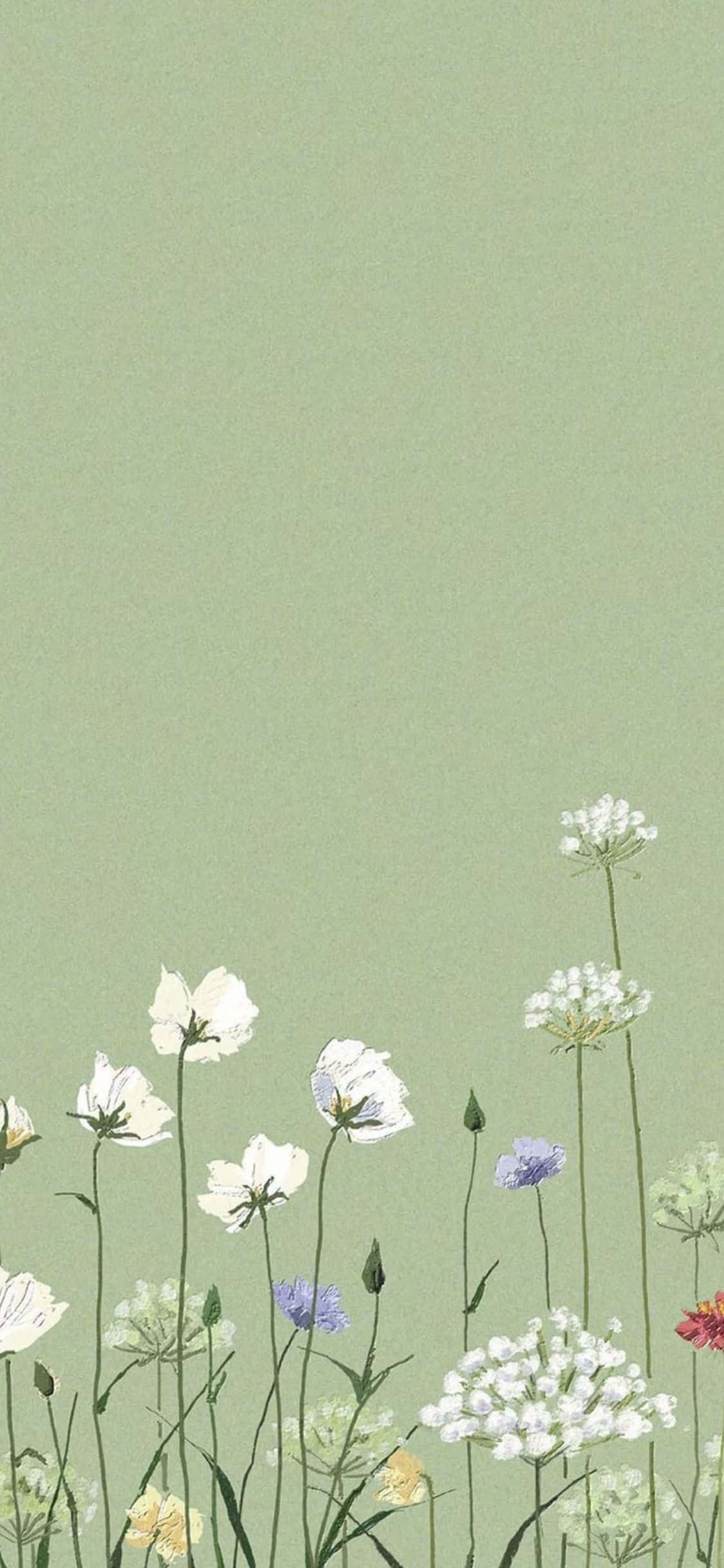 iPhone X minimal æstetisk grøn havebaggrund Wallpapers