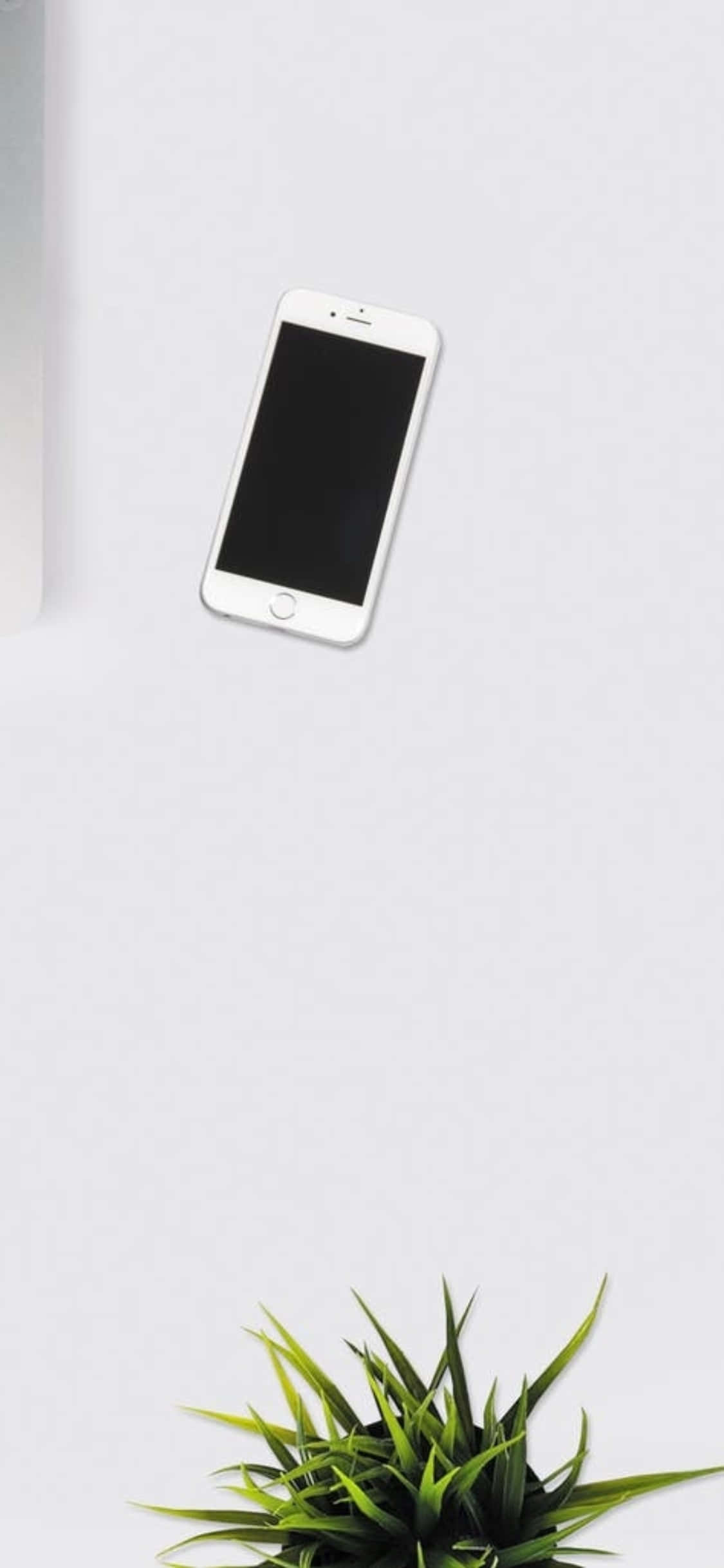 iPhone X Skrivebordsbaggrund Hvid Telefon Med En Indendørsplante Wallpapers
