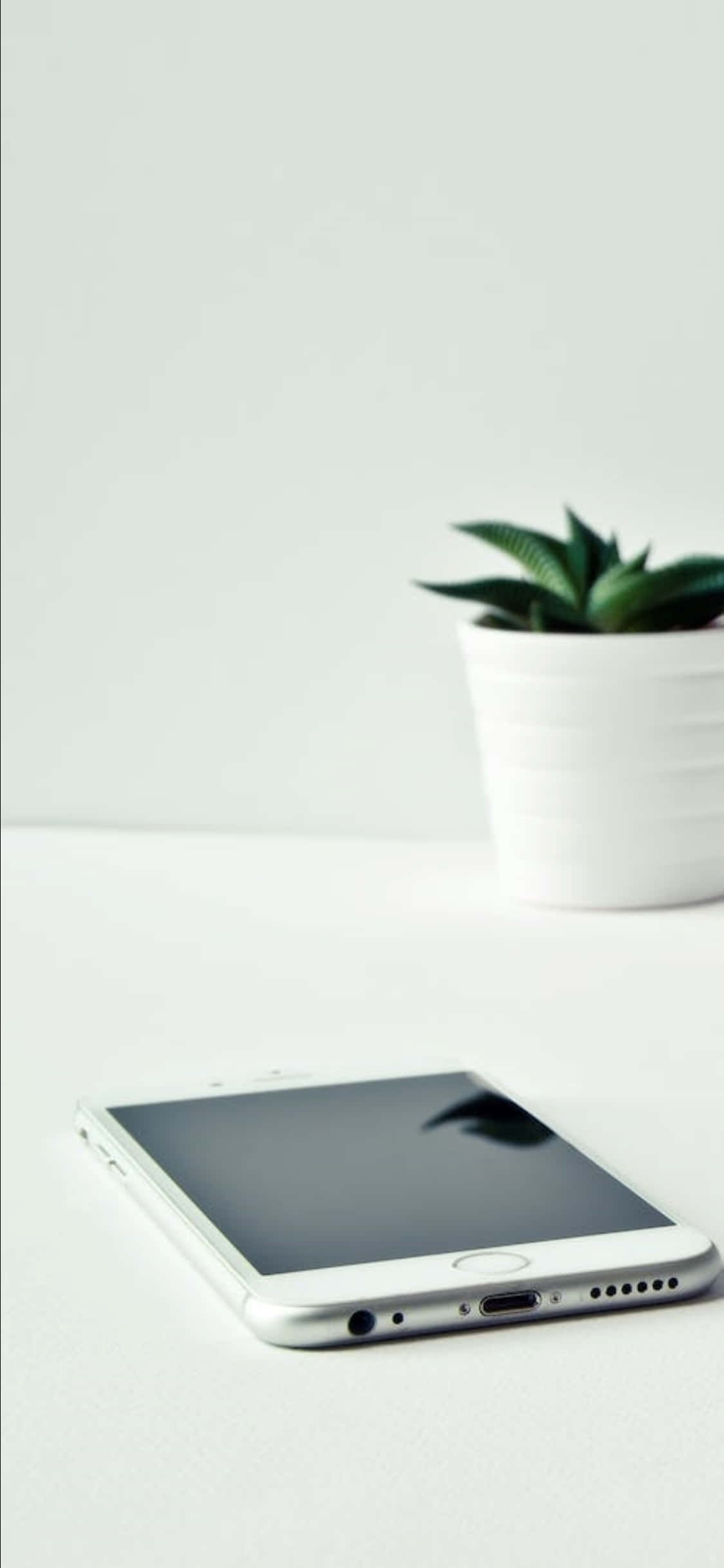 iPhone X Skrivebordsbaggrund Hvid Telefon og Plante Wallpapers