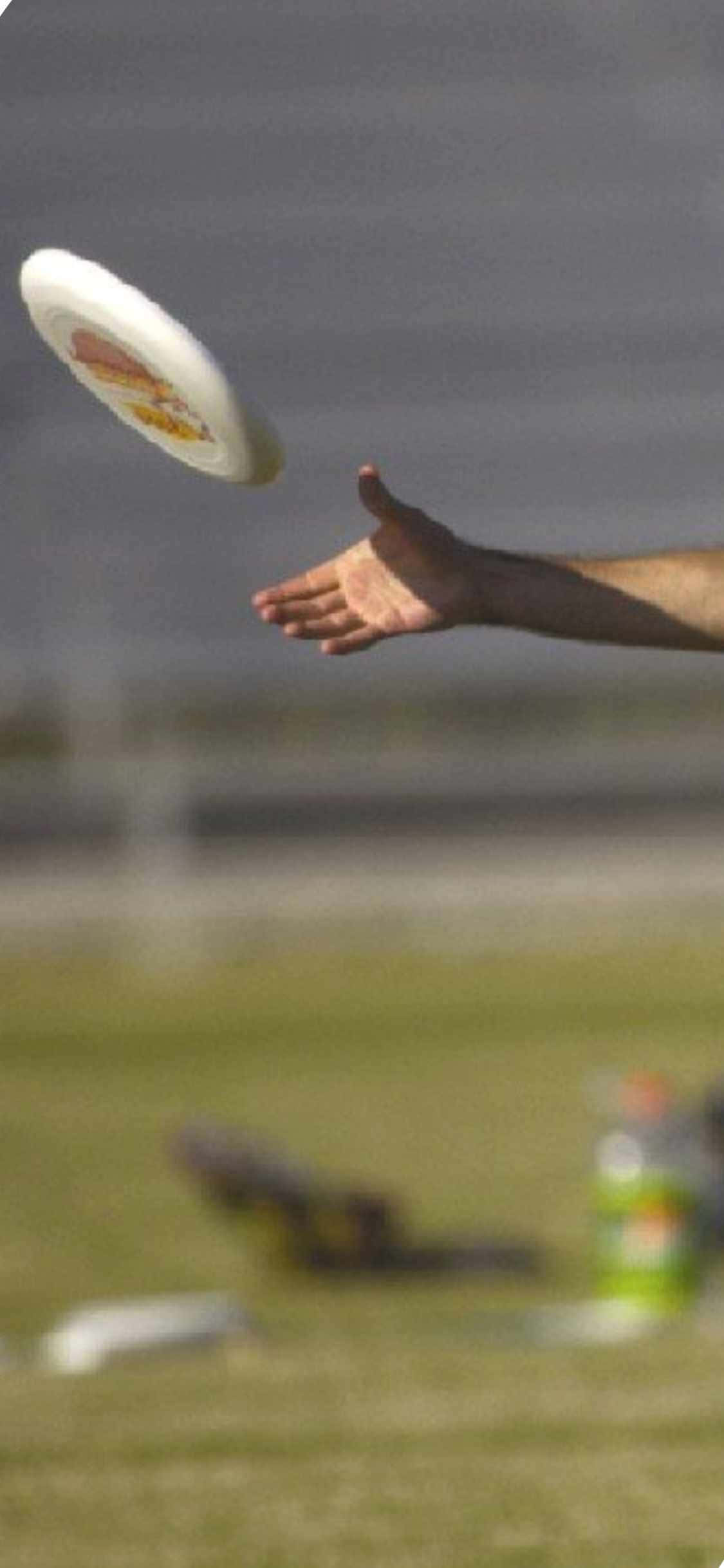 iPhone X Ultimate Frisbee Baggrund Håndfangst Wallpapers