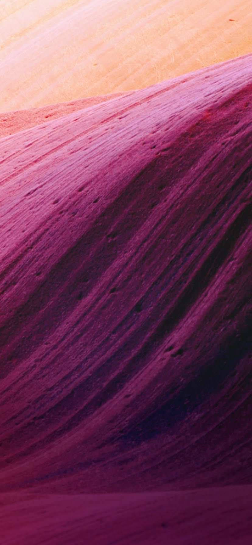 iPhone XR Beige Lilla Kurver Wallpapers