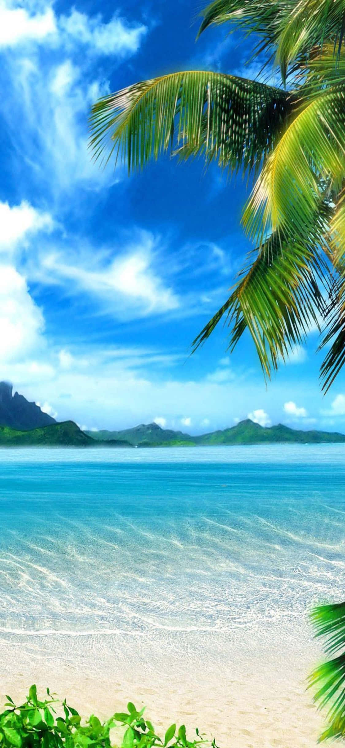 iPhone XS Caribisk Strand Baggrund Wallpapers