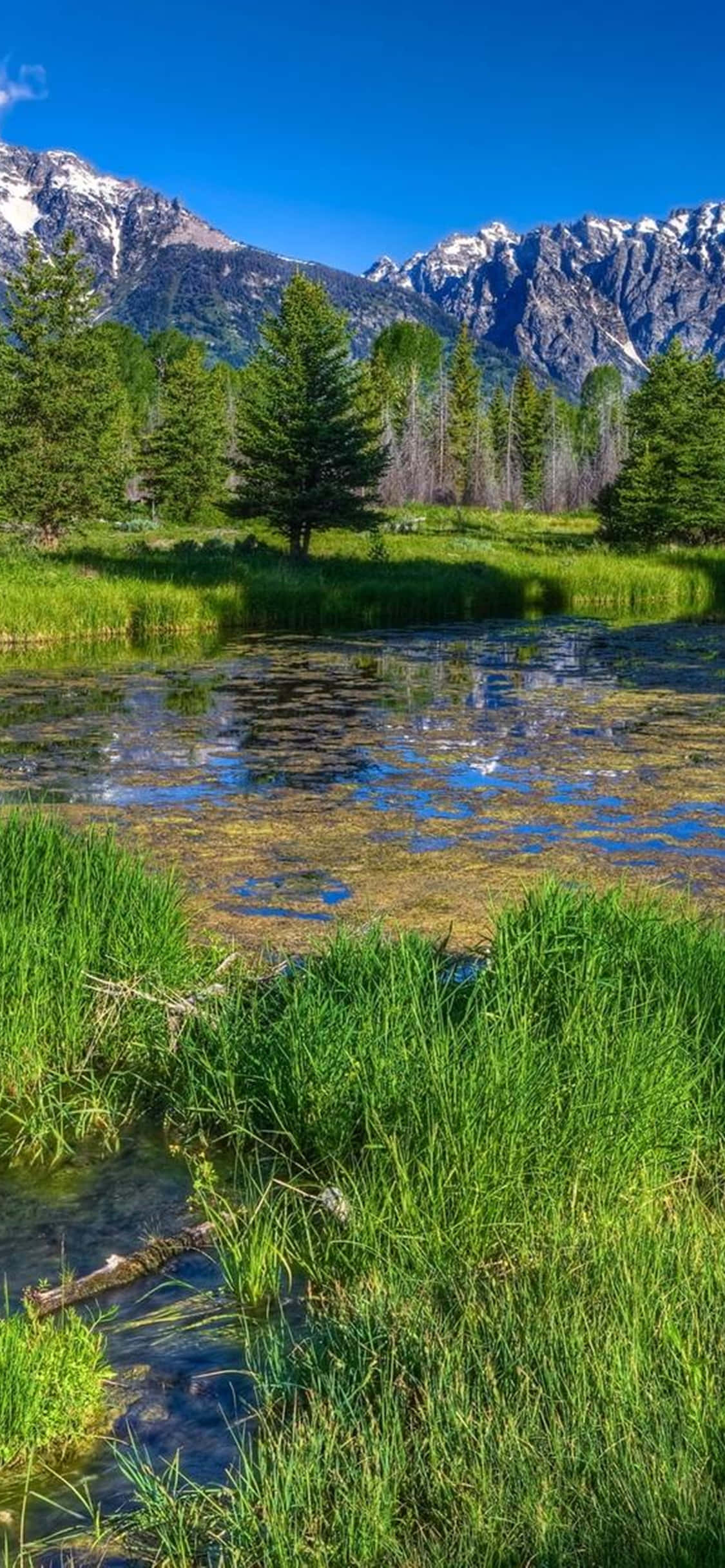 iPhone Xs Desktop Pc Natur Baggrund Wallpapers