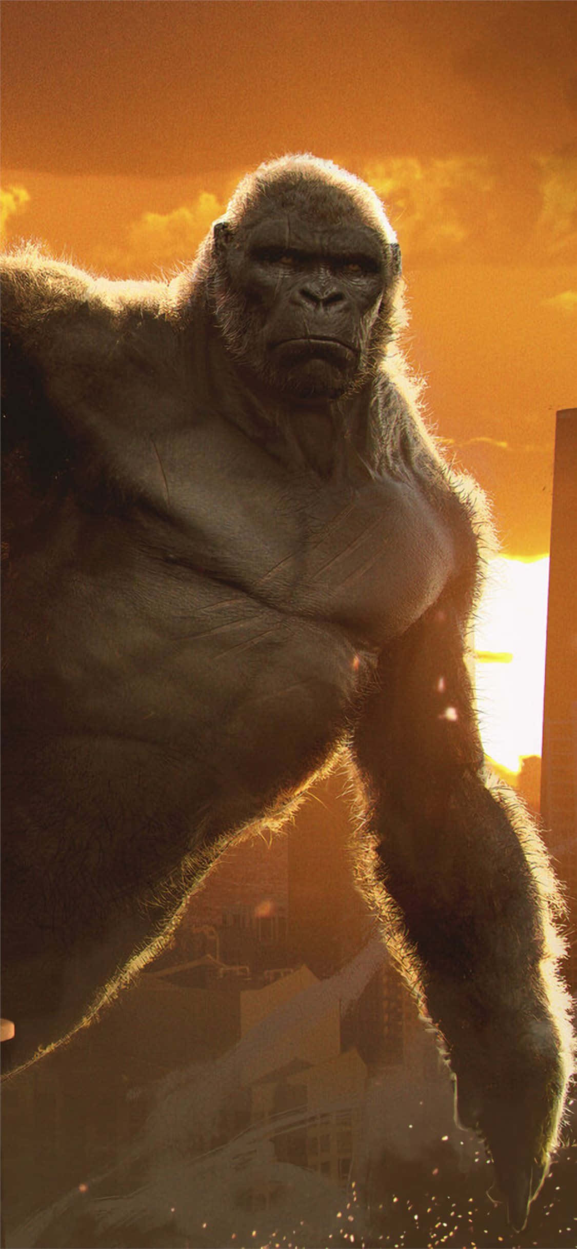 iPhone Xs Max Gorilla Baggrund Film King Kong Wallpapers