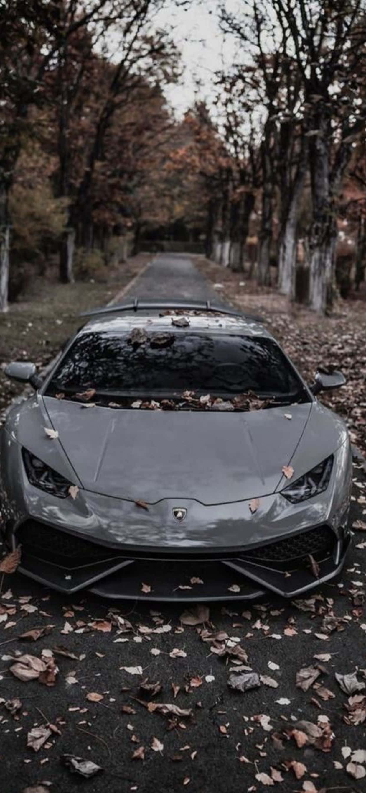 iPhone XS Max Lamborghini Huracan grå bil baggrund Wallpapers