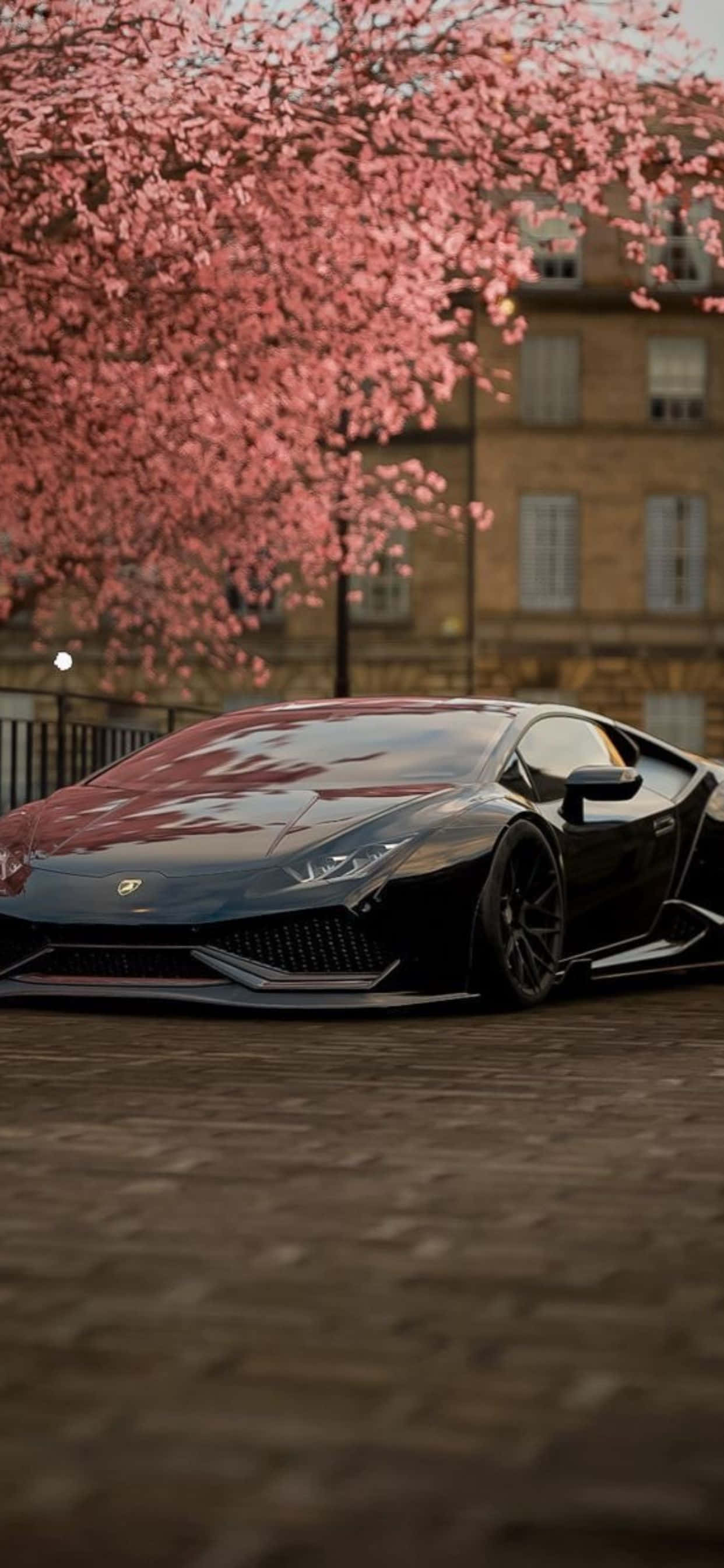 iPhone XS Max Lamborghini Kirsebærblomst Baggrund Wallpapers