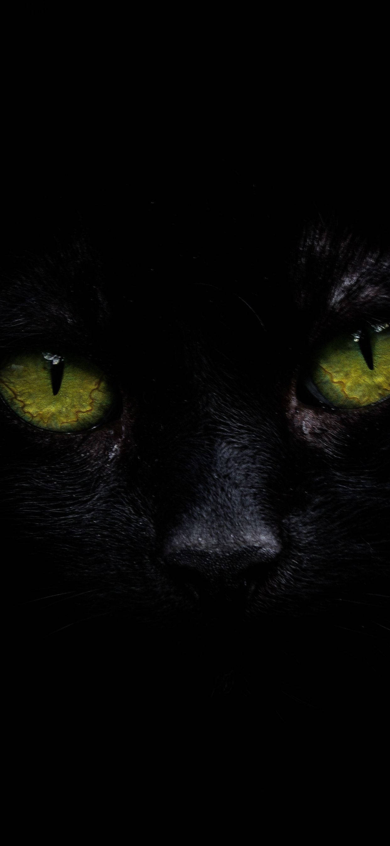 iPhone XS Max OLED Sort Kat Wallpapers