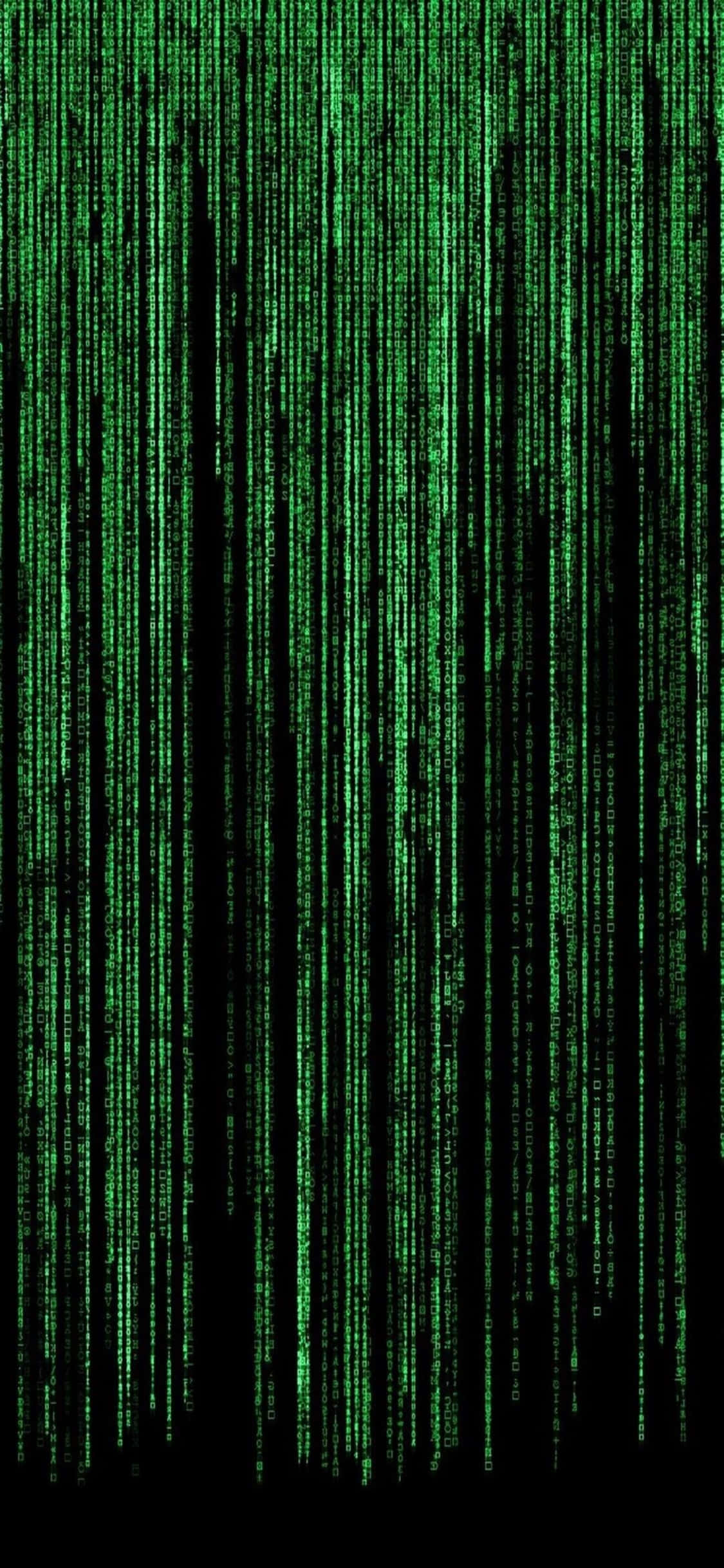 iPhone Xs Programmeringsbaggrund Grøn Matrix Wallpapers